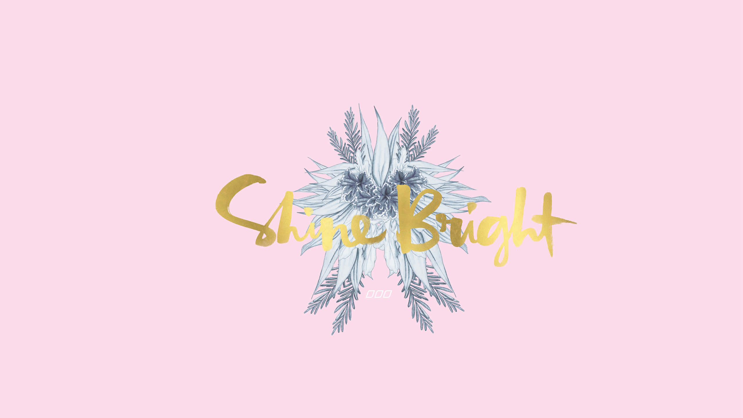 rose gold, golden cursive text, soft pink background, 2K Desktop Wallpaper