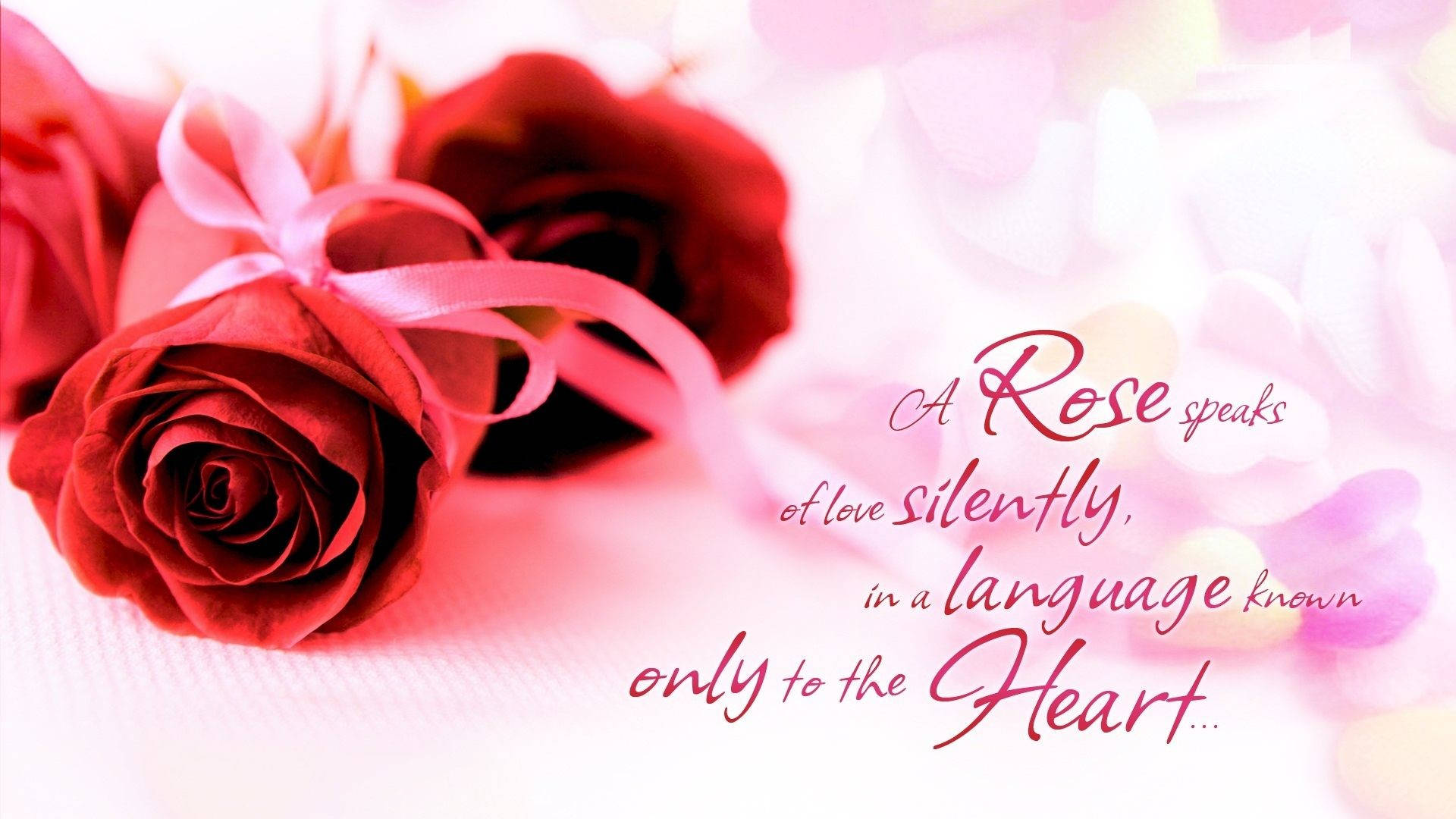 Love Rose HD Quote, deep red roses, pink ribbon, Full HD Desktop Wallpaper