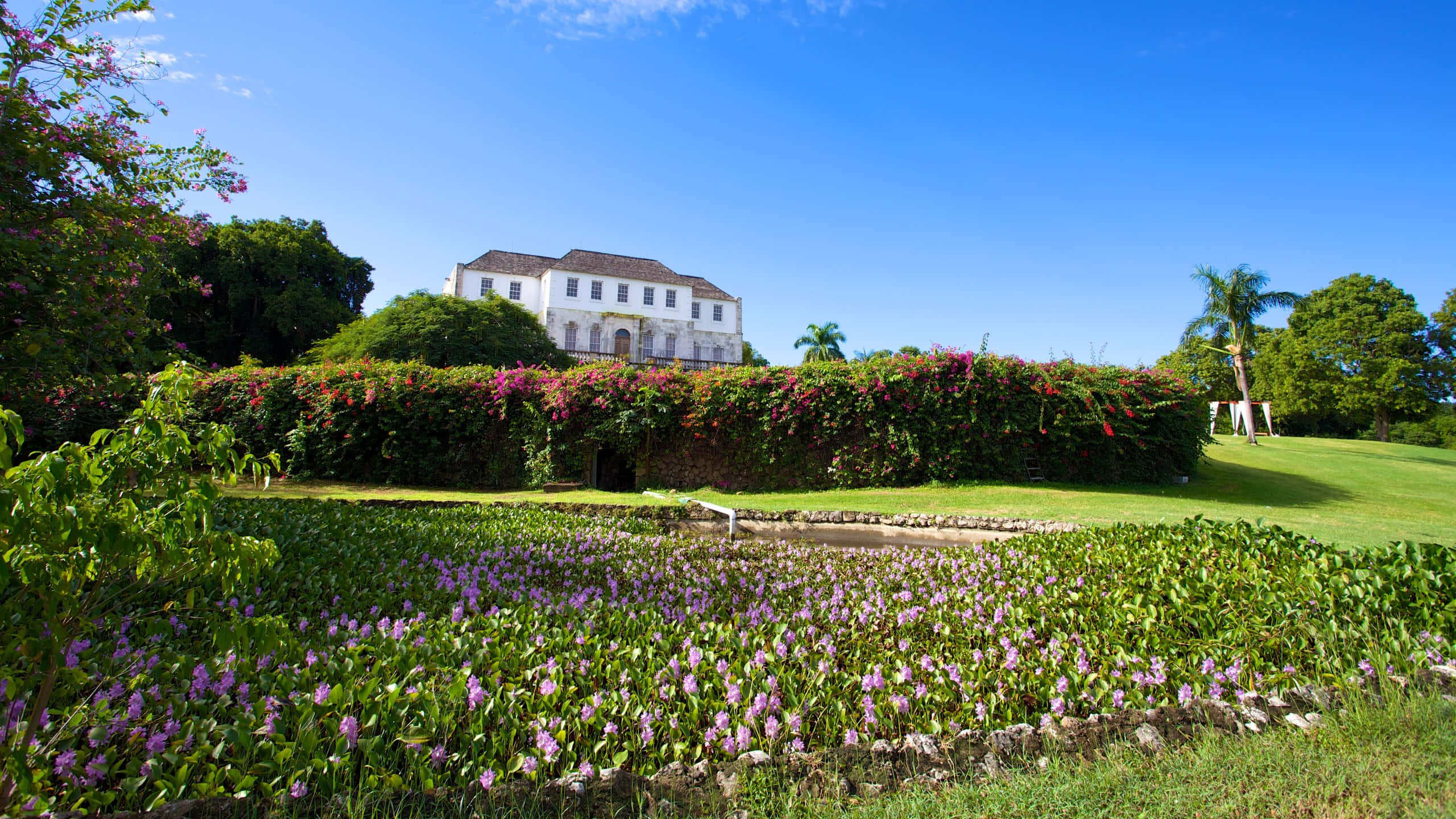 Rose Hall Great House, white colonial mansion, lush green hill, 2K Desktop Wallpaper