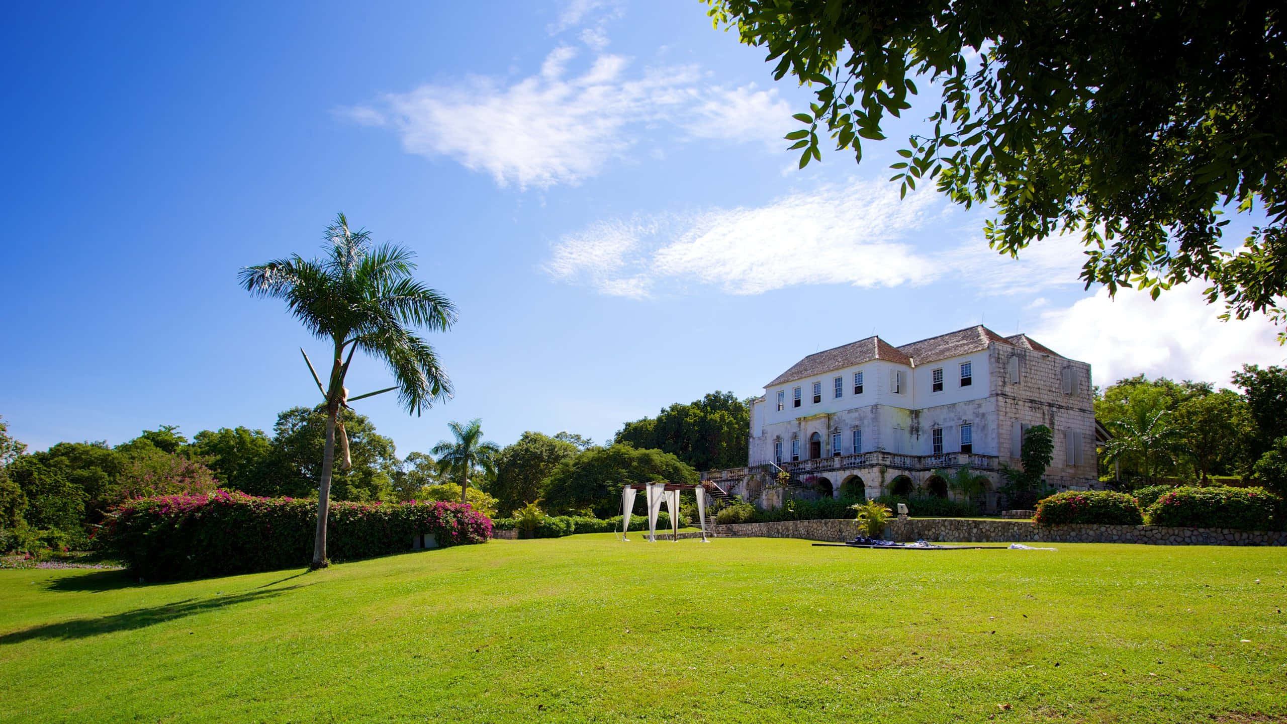 Rose Hall Great House, palm tree, grass field, 2K Desktop Wallpaper