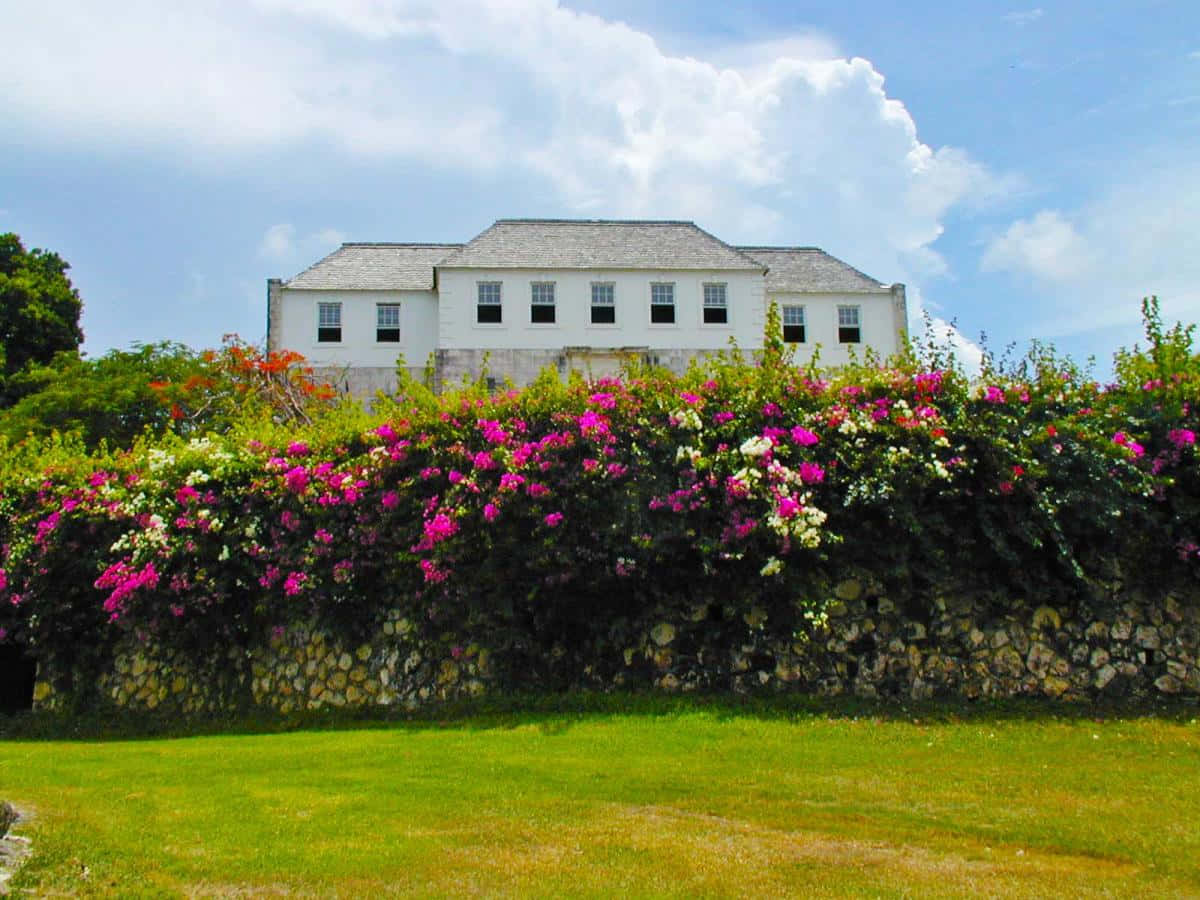 Rose Hall Great House, white colonial-style house, stone wall, SD Desktop Wallpaper
