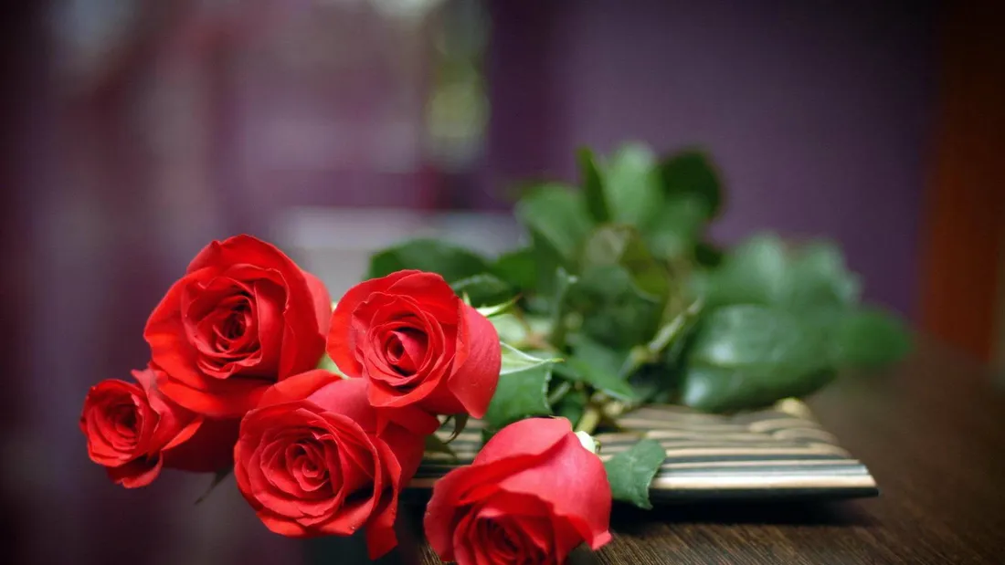 Rose HD