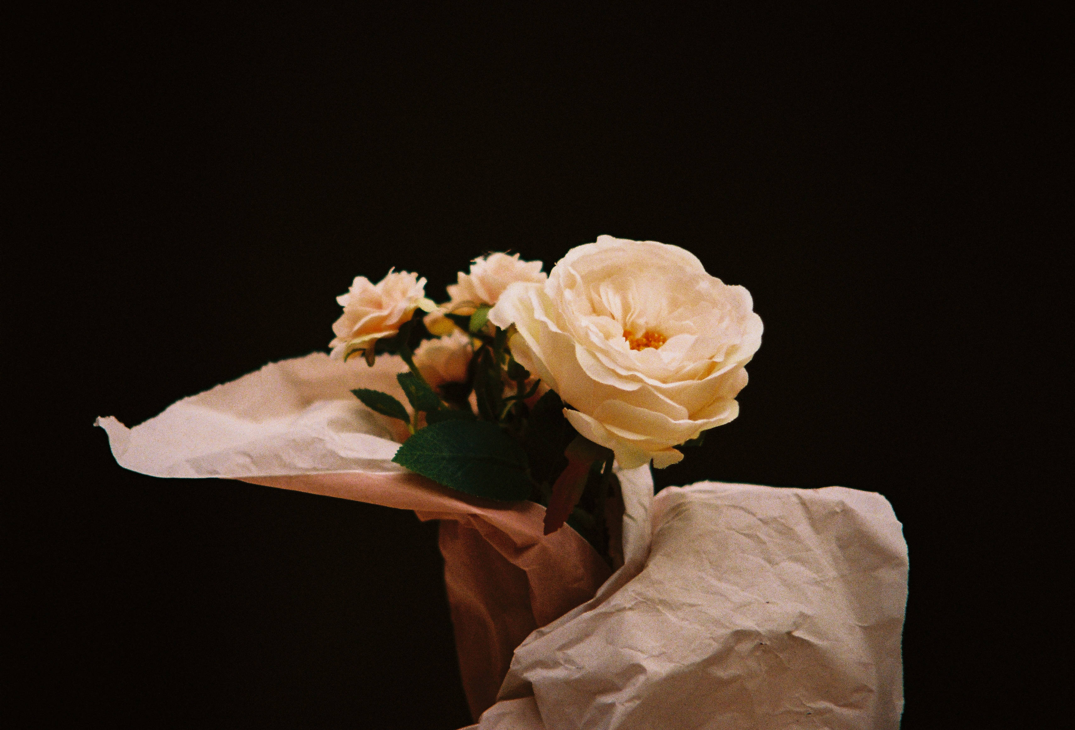 Tiny Bouquet Rose HD, cream roses, crinkled paper, 2K Desktop Wallpaper