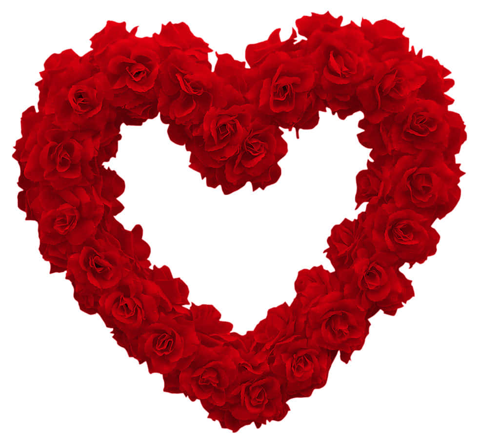 Rose Heart, vibrant red roses, stark white background, SD Desktop Wallpaper