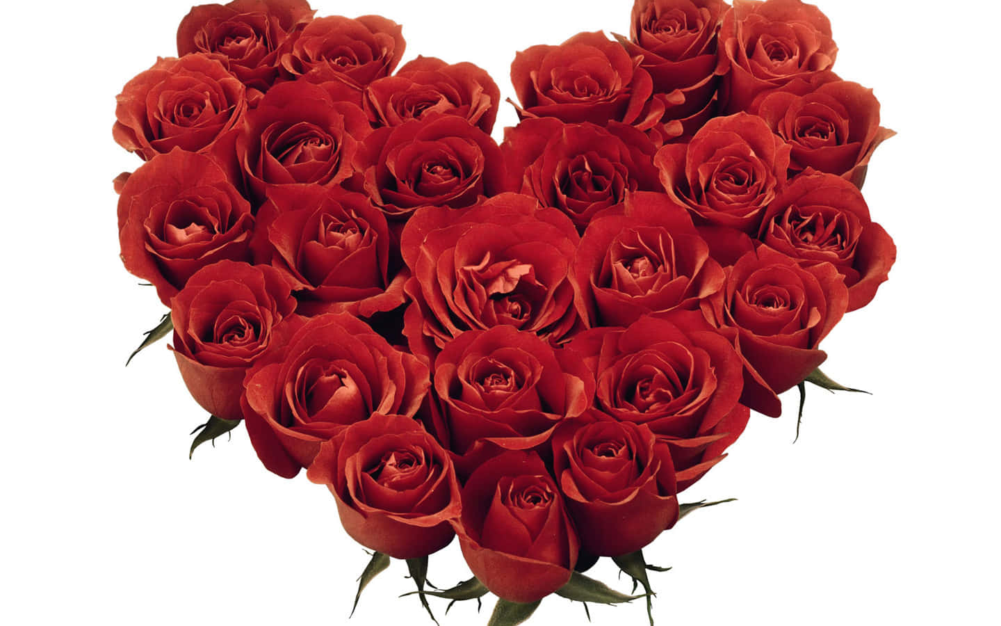 Rose Heart, deep red roses, green stems, HD Desktop Wallpaper