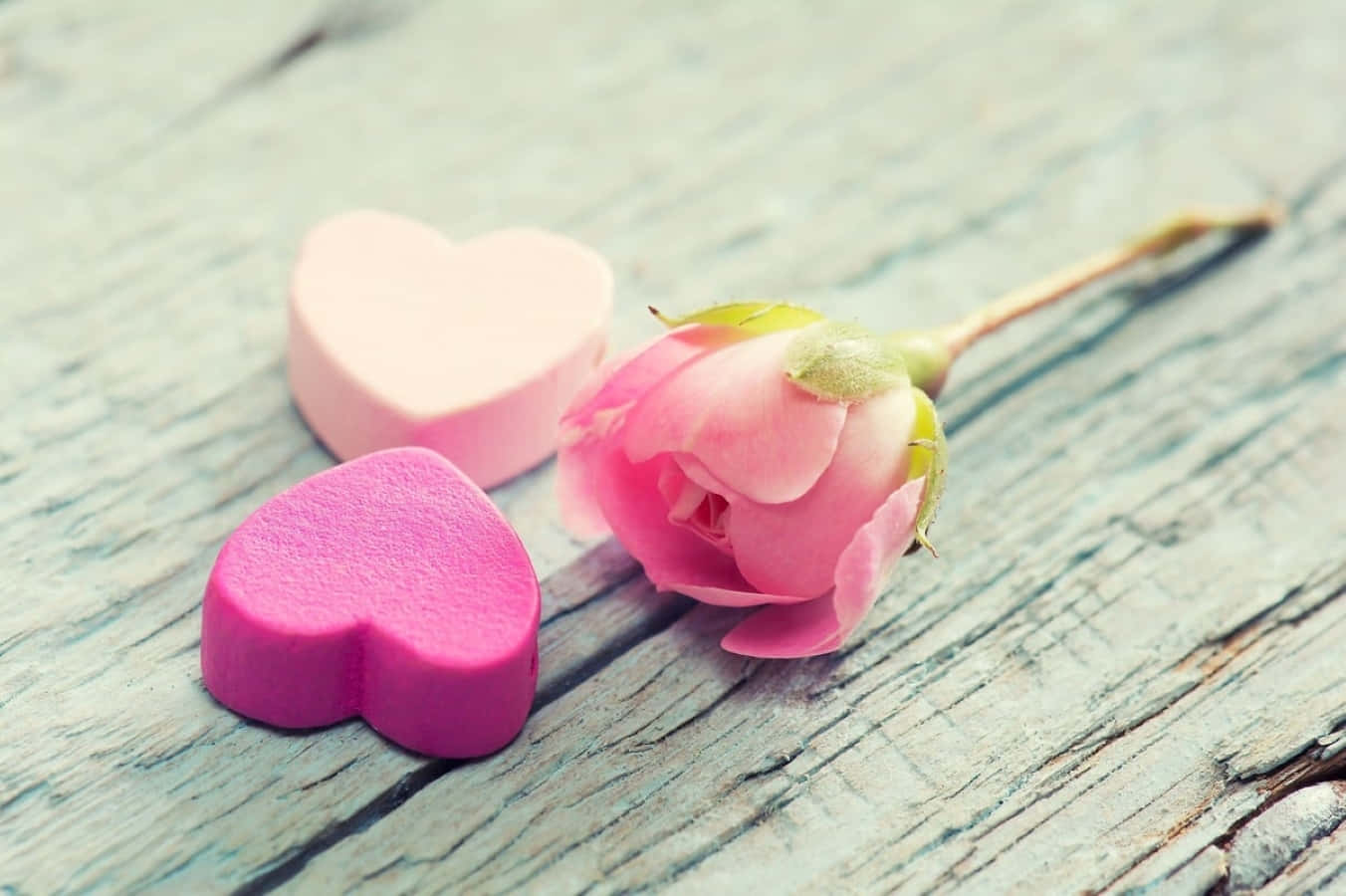 Rose Heart, wooden background, soft pink rosebud, HD Desktop Wallpaper