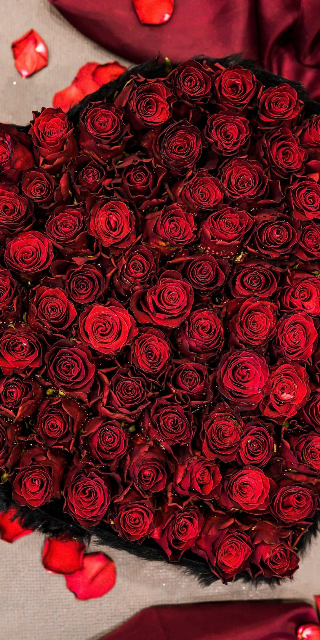 Rose Heart, deep red roses, scattered petals, Full HD Phone Wallpaper