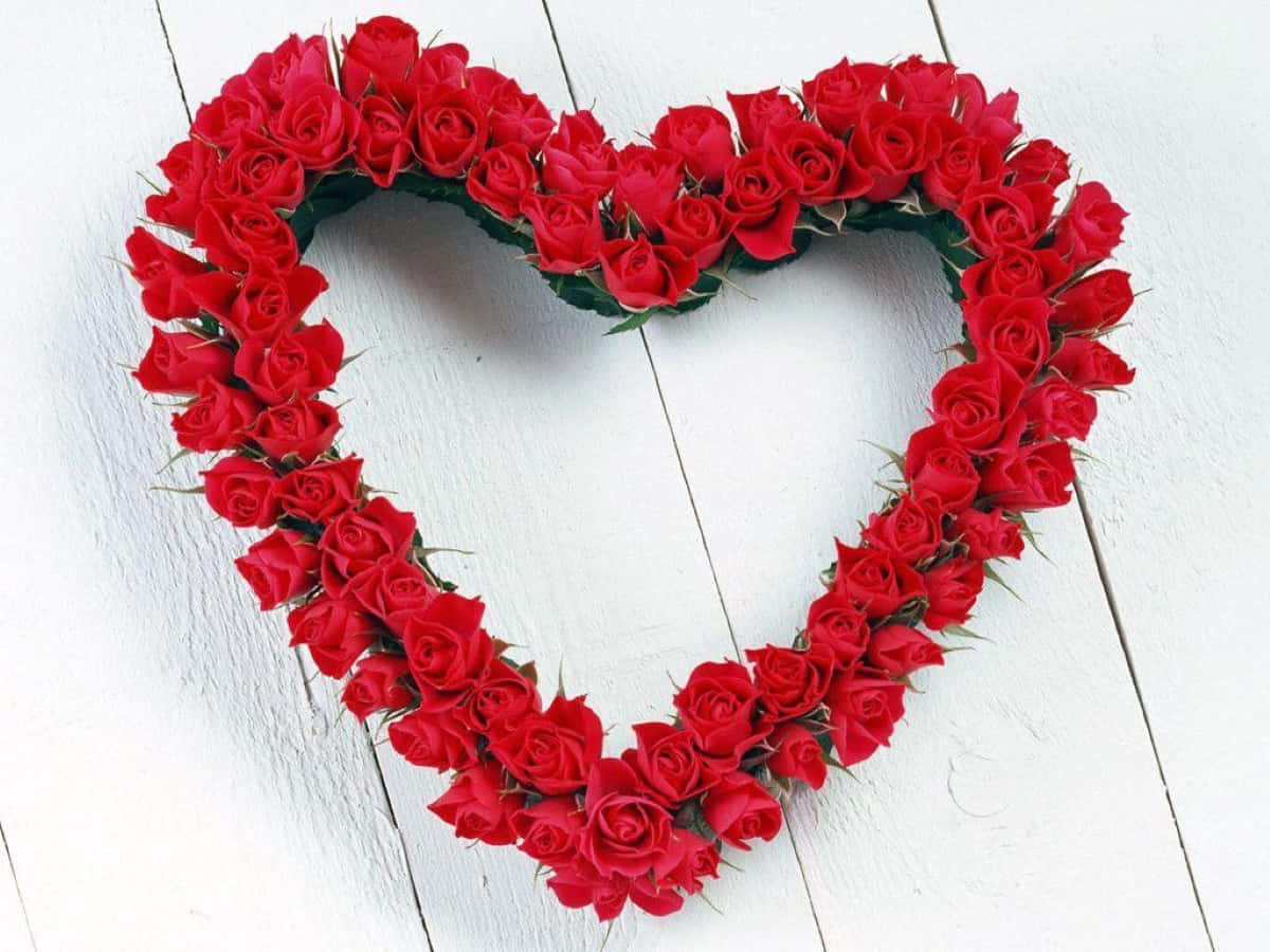 Rose Heart, vibrant red roses, white wooden surface, SD Desktop Wallpaper