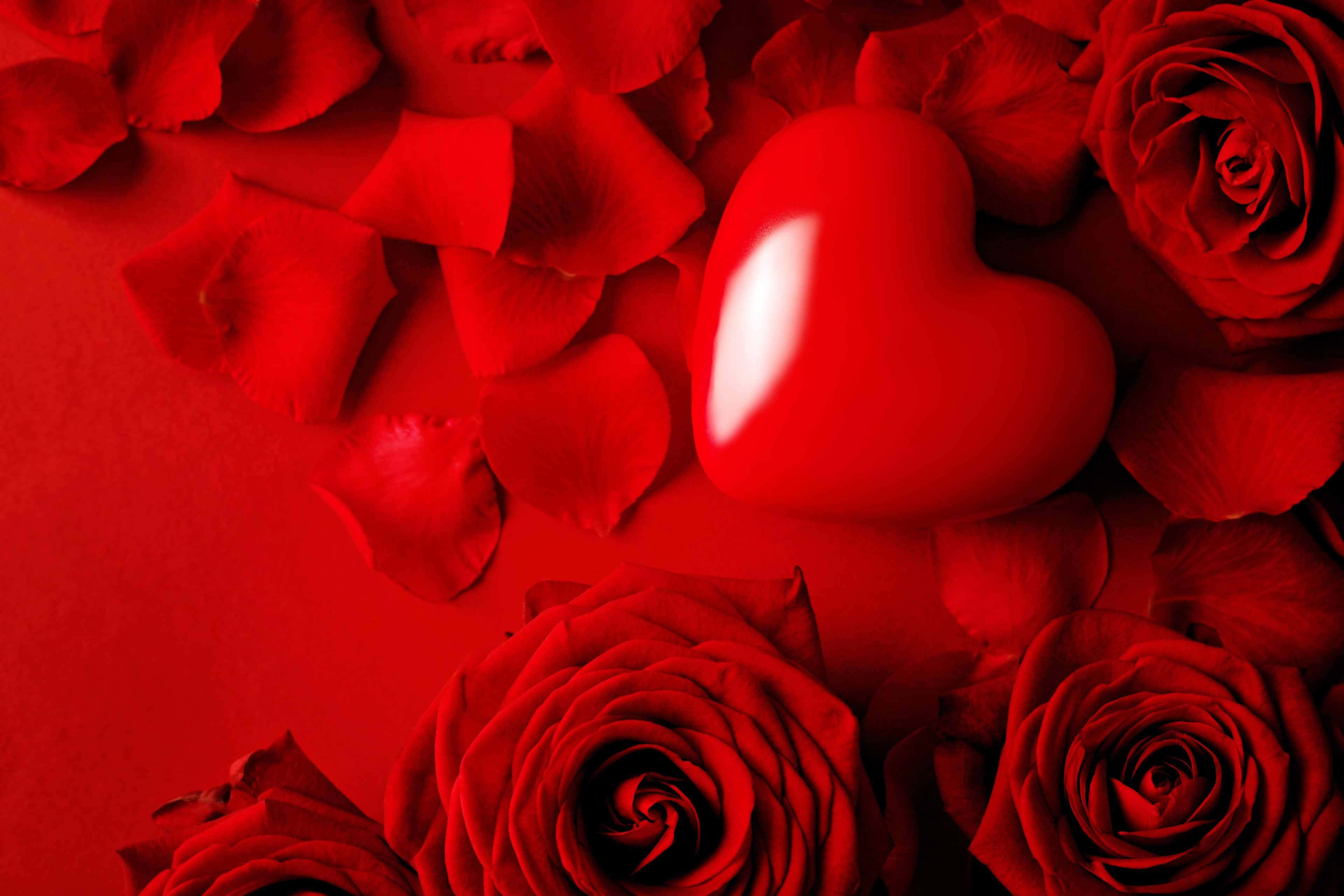 Rose Heart, glossy red heart, deep red rose petals, 4K Desktop Wallpaper