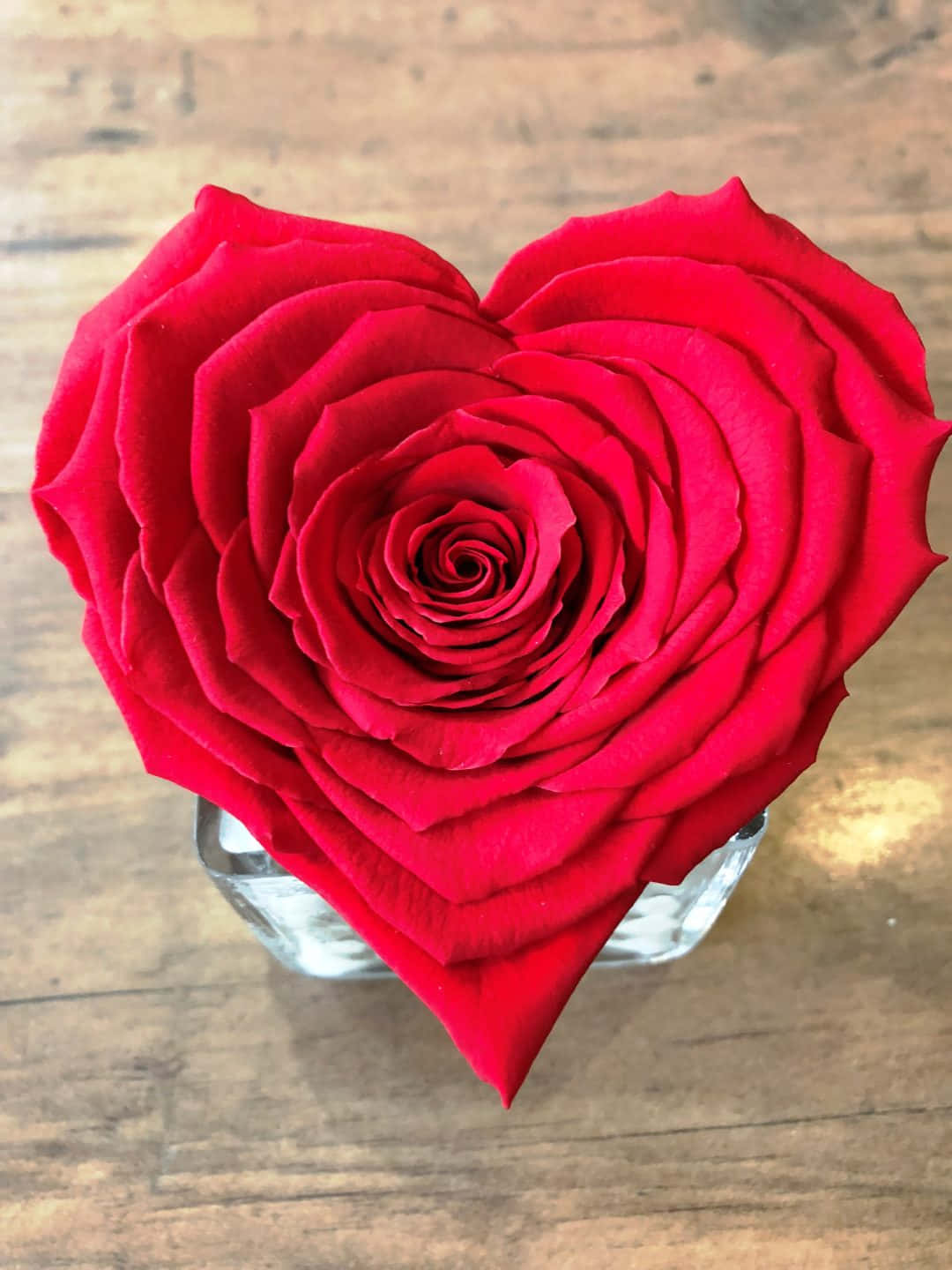 rose heart, vibrant red rose, heart shape, HD Phone Wallpaper