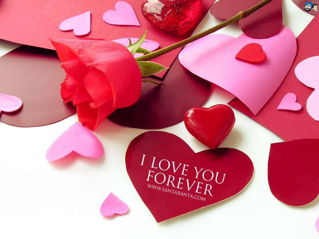 red rose, paper hearts, glossy heart-shaped box, SD Desktop Wallpaper