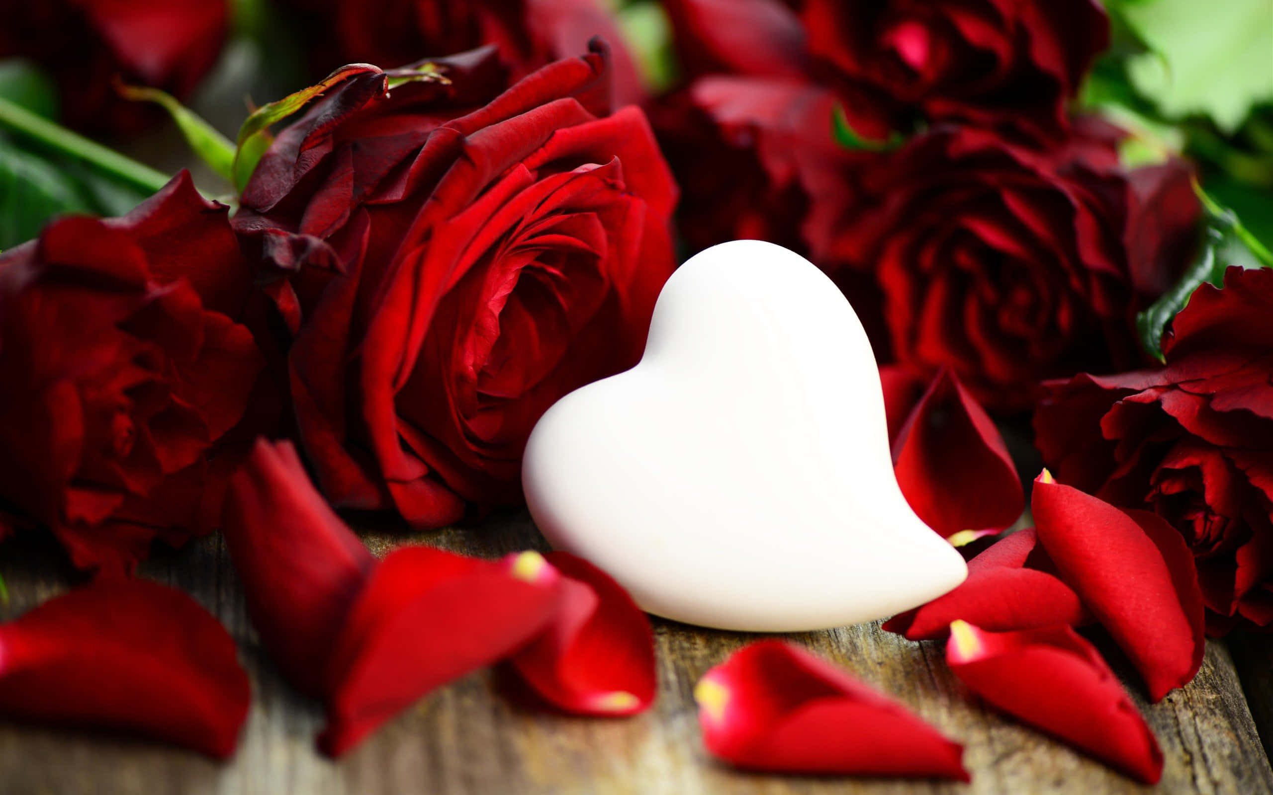 Rose Heart, white heart, deep red roses, 2K Desktop Wallpaper