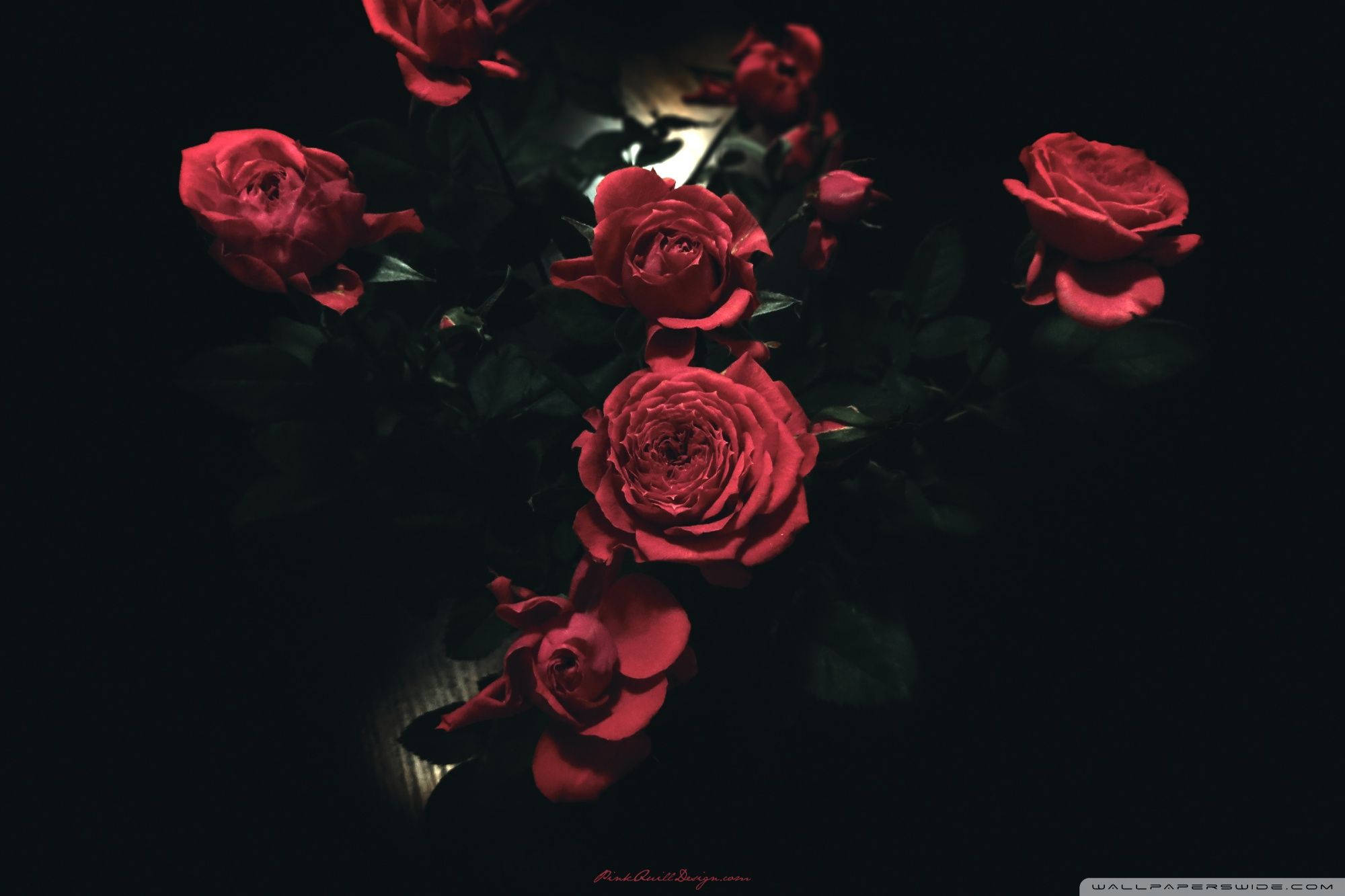 rose gold, iPhone, vivid red roses, Full HD Desktop Wallpaper