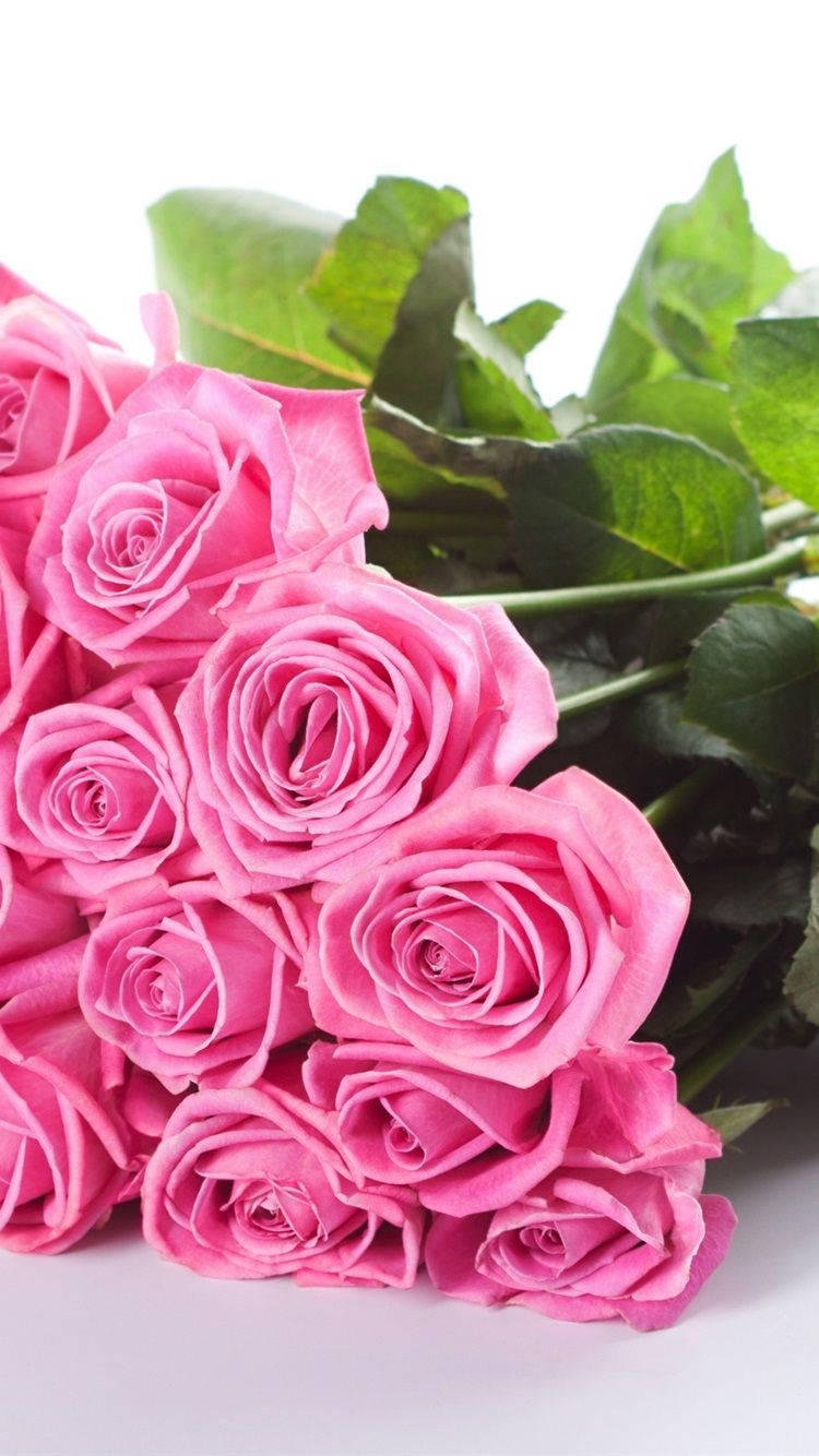 pink rose, iPhone, bouquet, HD Phone Wallpaper