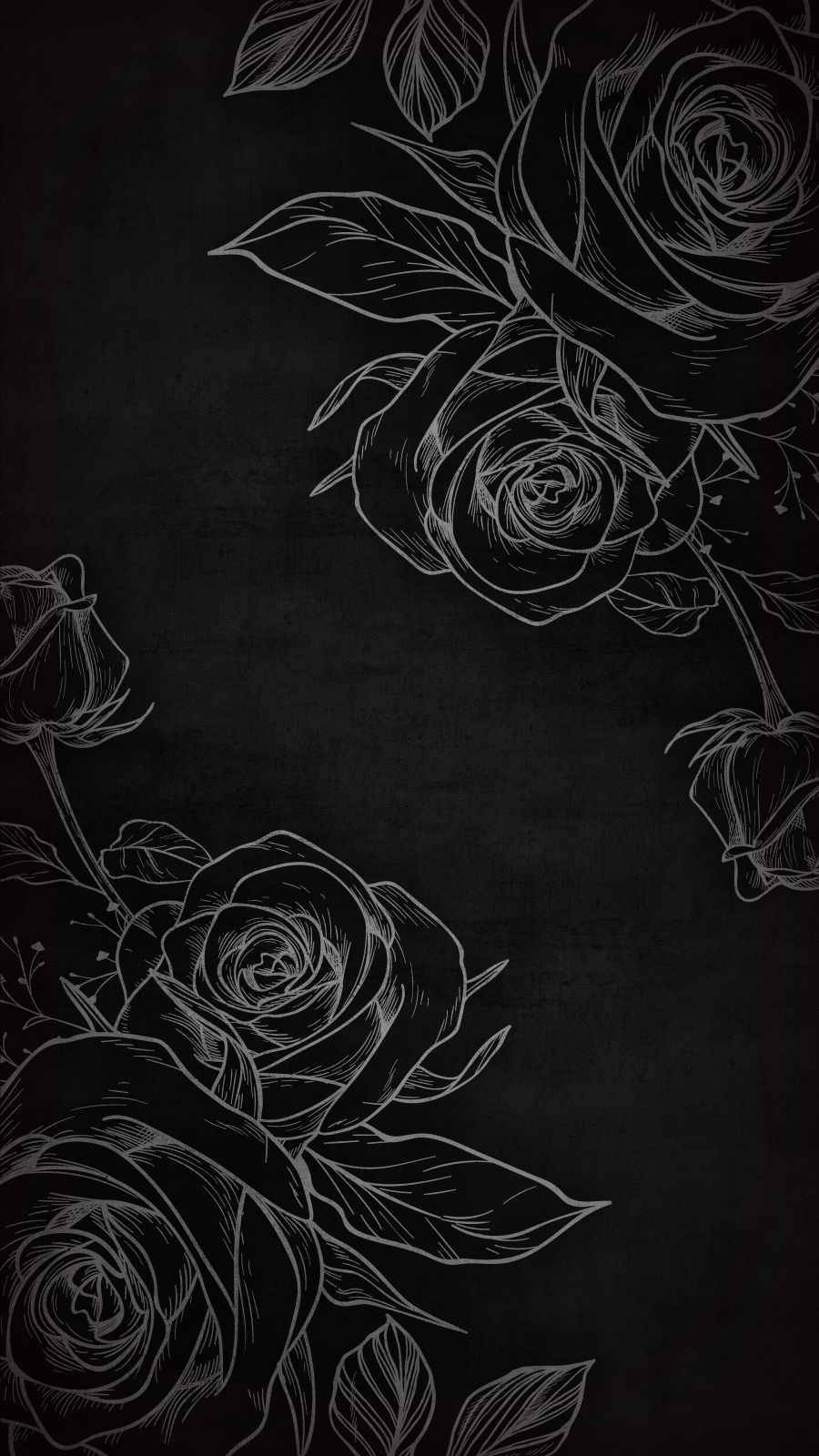 black rose, iPhone, white line-drawn roses, HD Phone Wallpaper