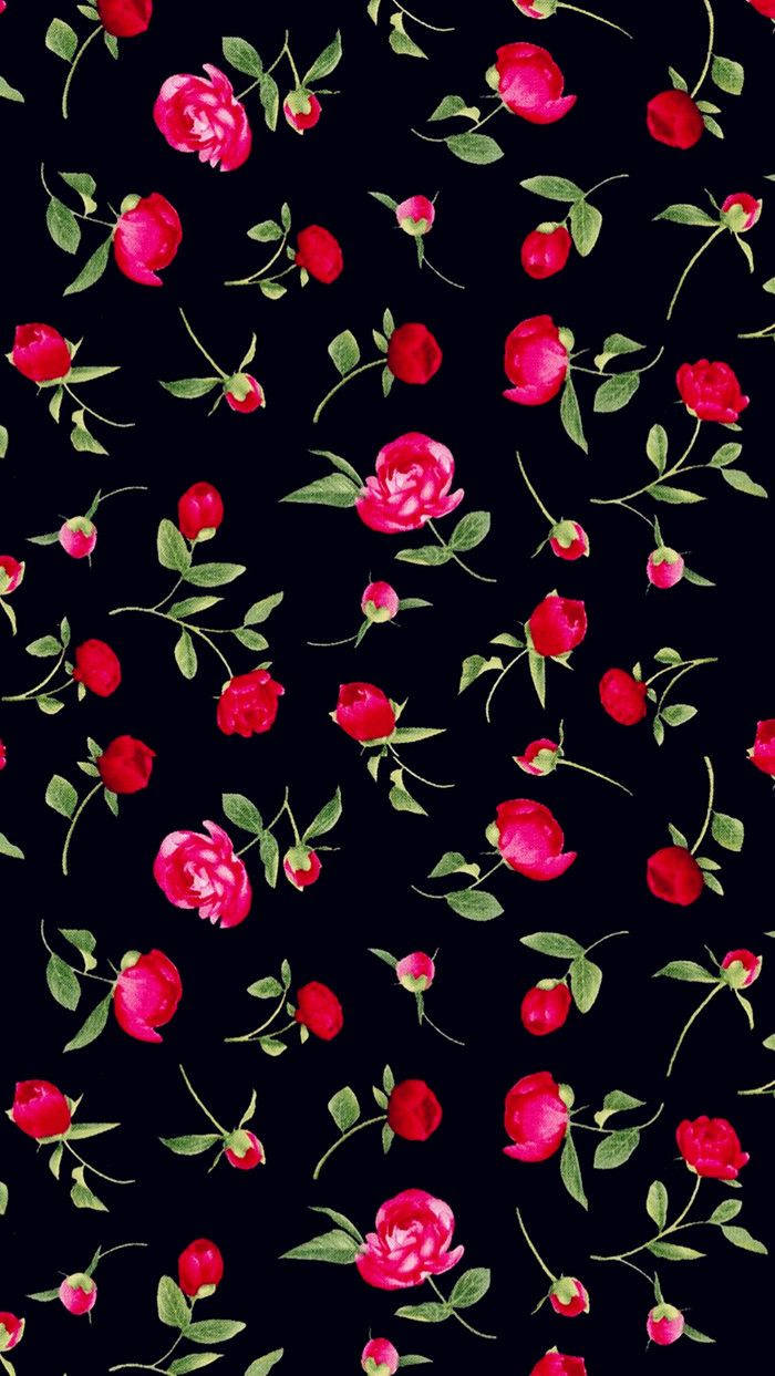Scattered Red Rose iPhone, vibrant pink roses, buds, SD Phone Wallpaper