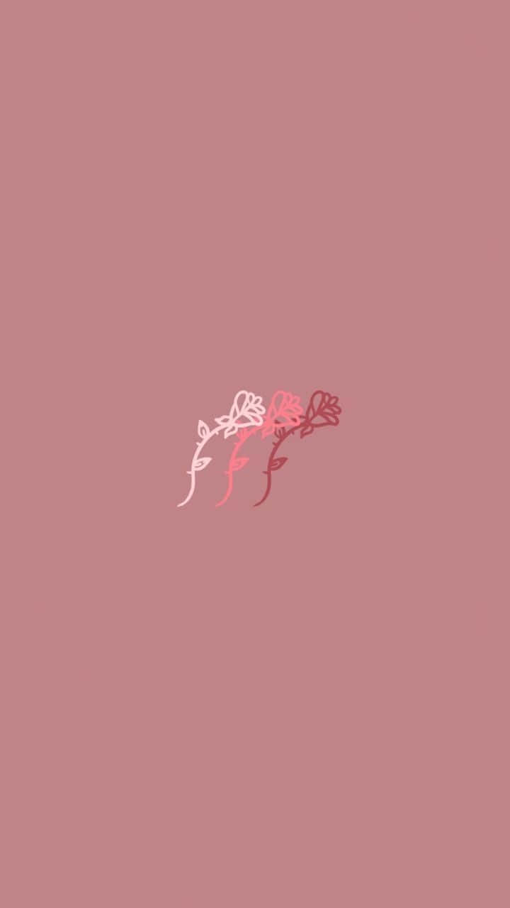Pink Aesthetic iPhone, minimalist line art, delicate pink and white flowers, HD Phone Wallpaper