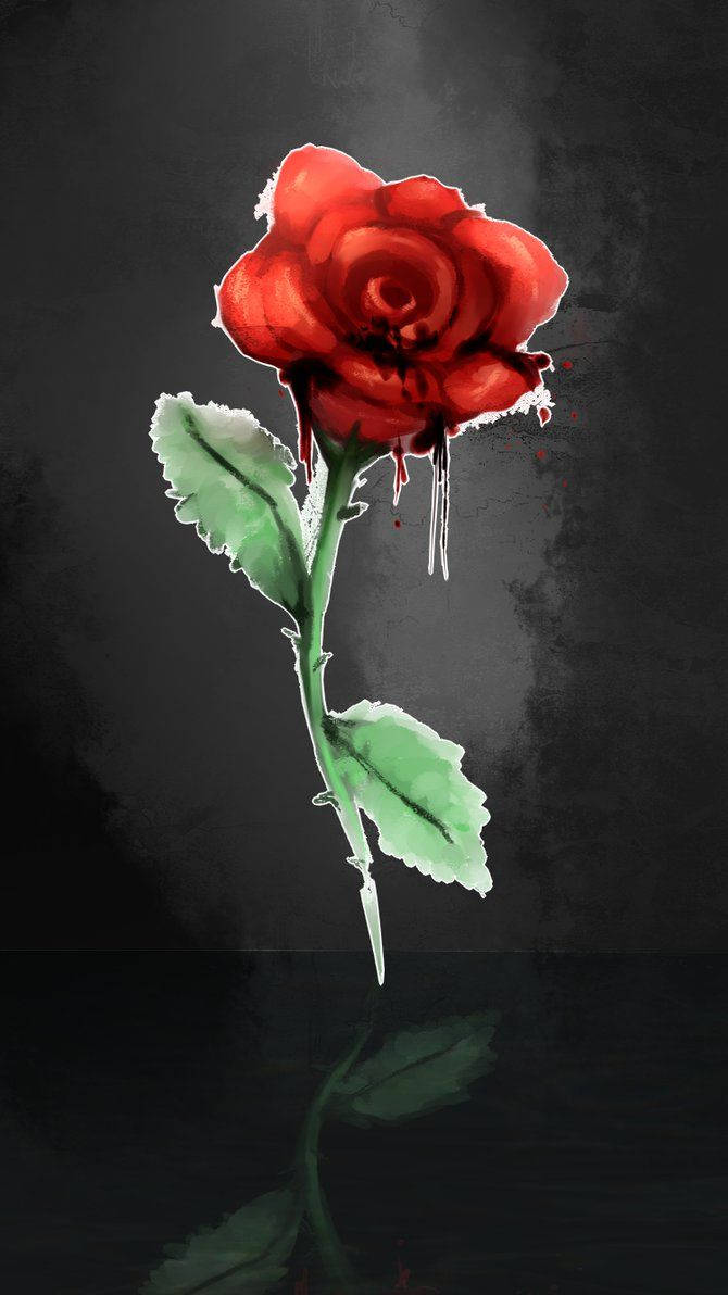 Red Rose, iPhone, dark textured background, SD Phone Wallpaper