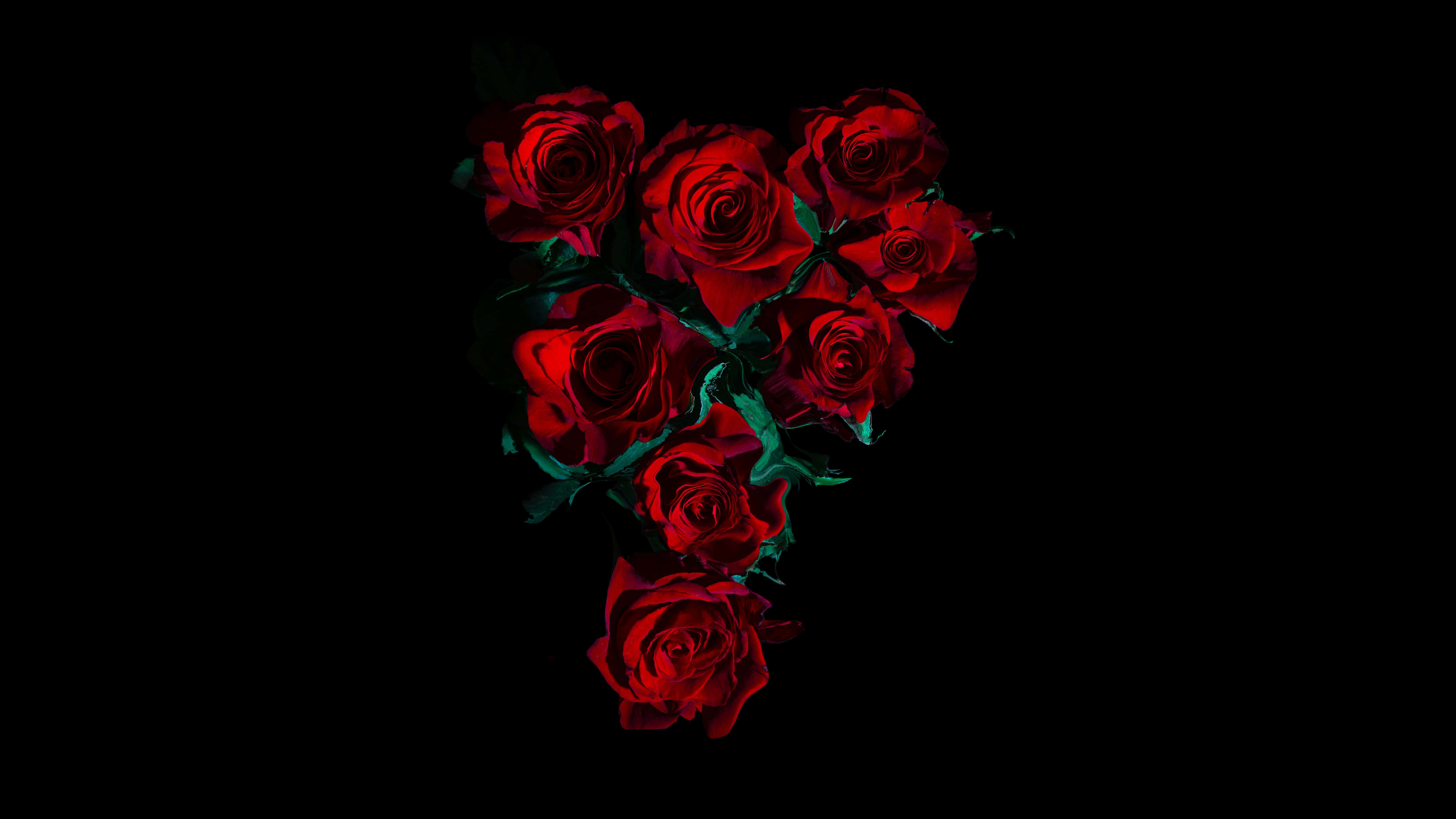 black background, deep red roses, heart shape, 5K Desktop Wallpaper
