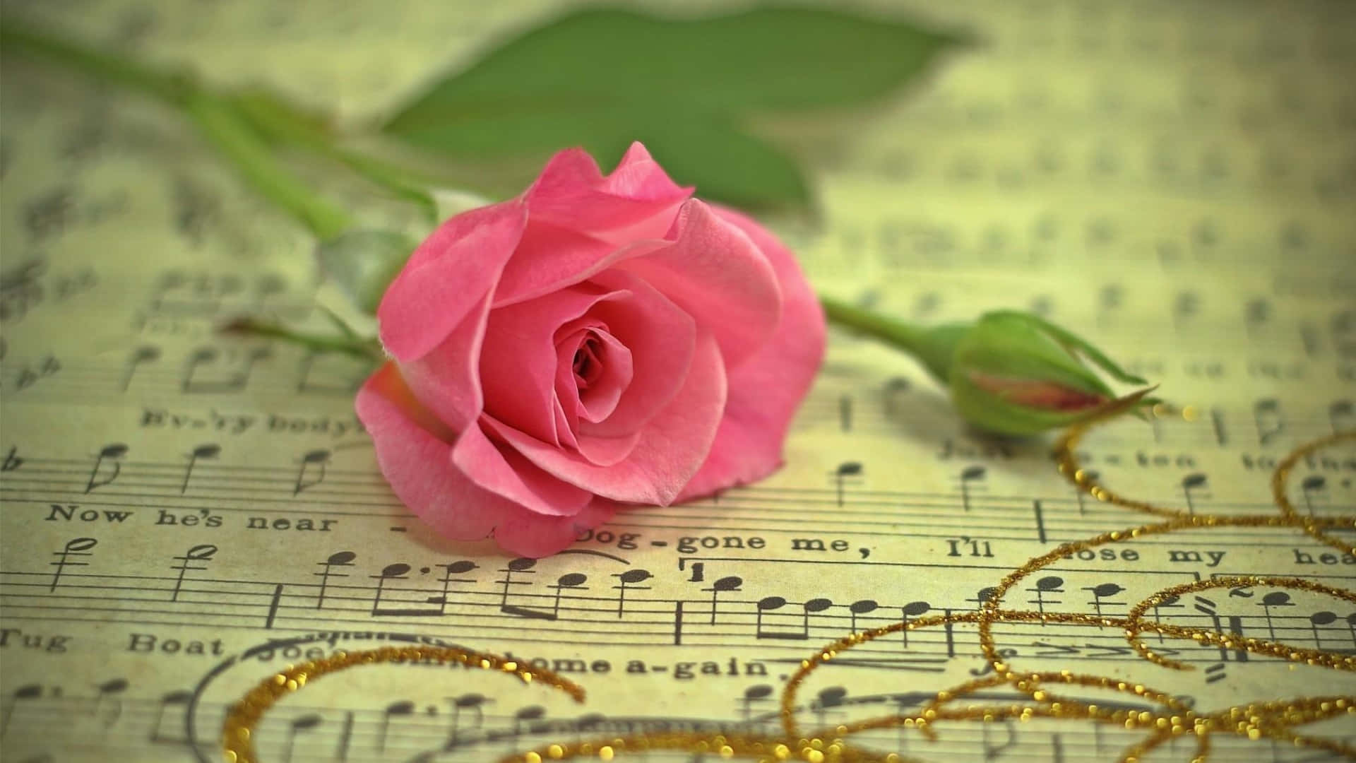 pink rose, vintage sheet music, golden glittery swirls, Full HD Desktop Wallpaper