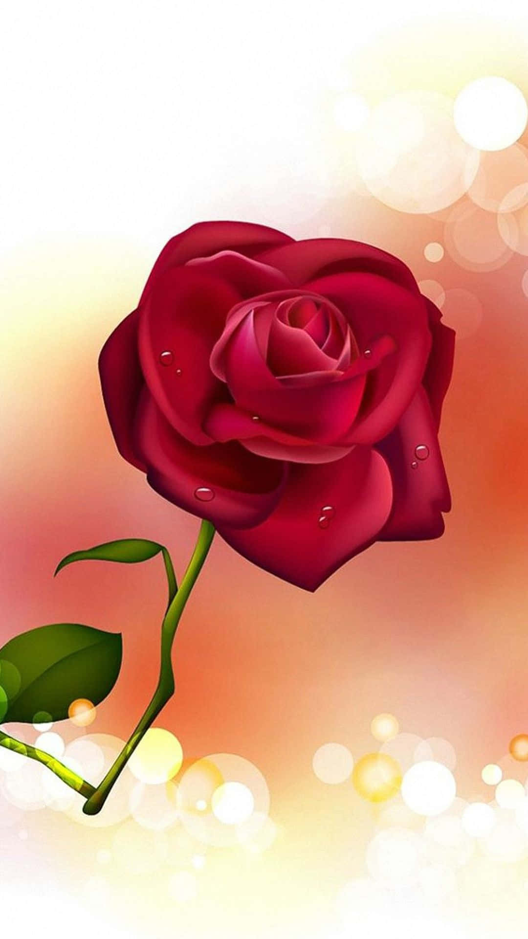 Rose Mobile, vibrant red rose, dew drops, Full HD Phone Wallpaper