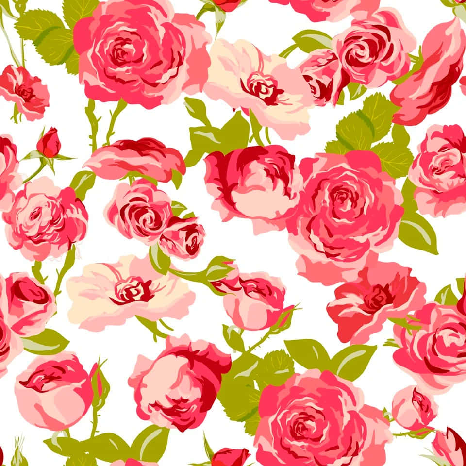 Rose Pattern, vibrant pink roses, green leaves, SD Desktop Wallpaper