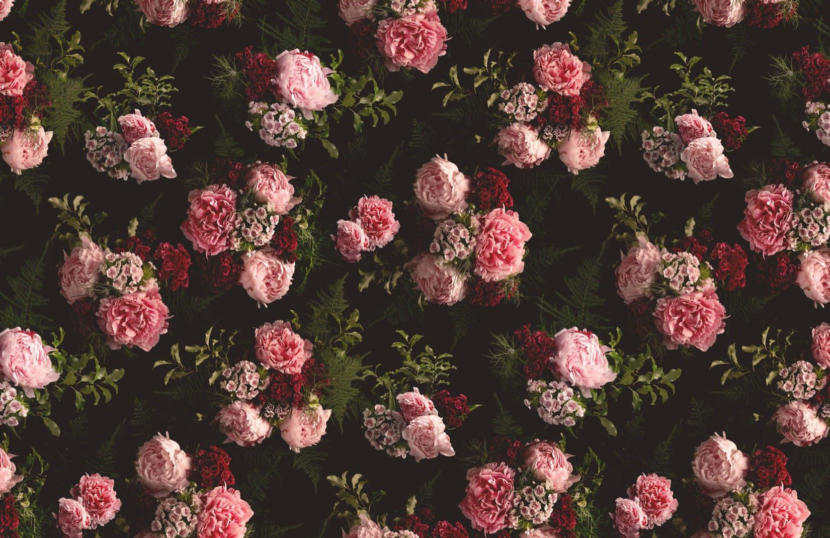 rose pattern, pink roses, deep red blooms, HD Desktop Wallpaper