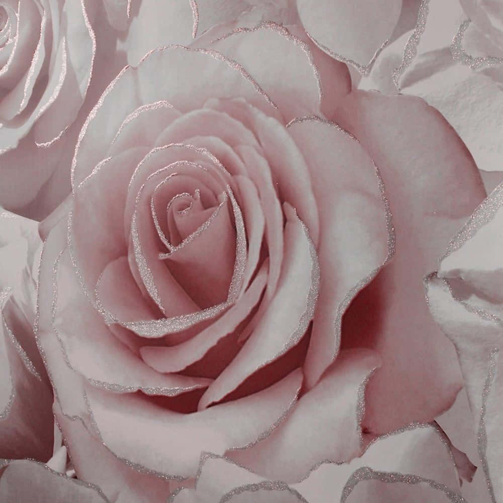 Rose Pattern, soft pink roses, glittery silver edges, SD Desktop Wallpaper