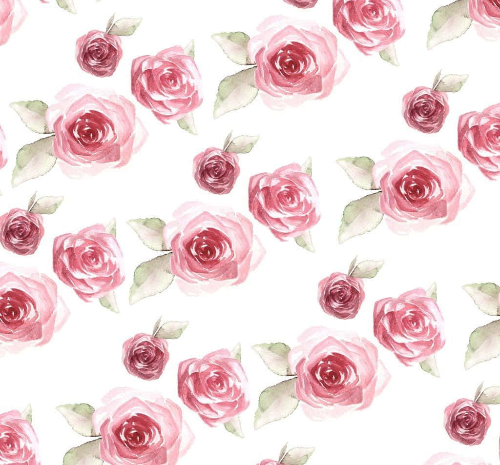 rose pattern, watercolor pink roses, green leaves, SD Desktop Wallpaper