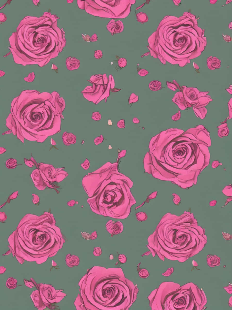 Rose Pattern, vibrant pink roses, petals, SD Phone Wallpaper