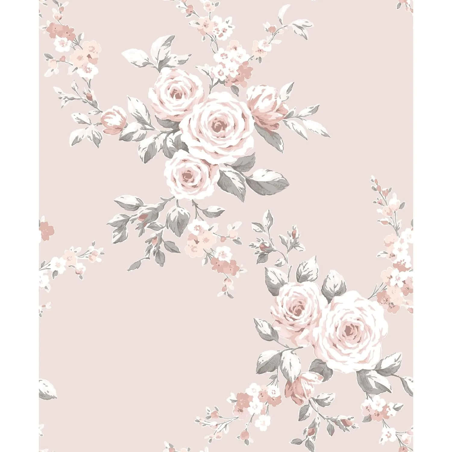 blush rose pattern, soft pink roses, gray-green leaves, HD Desktop Wallpaper