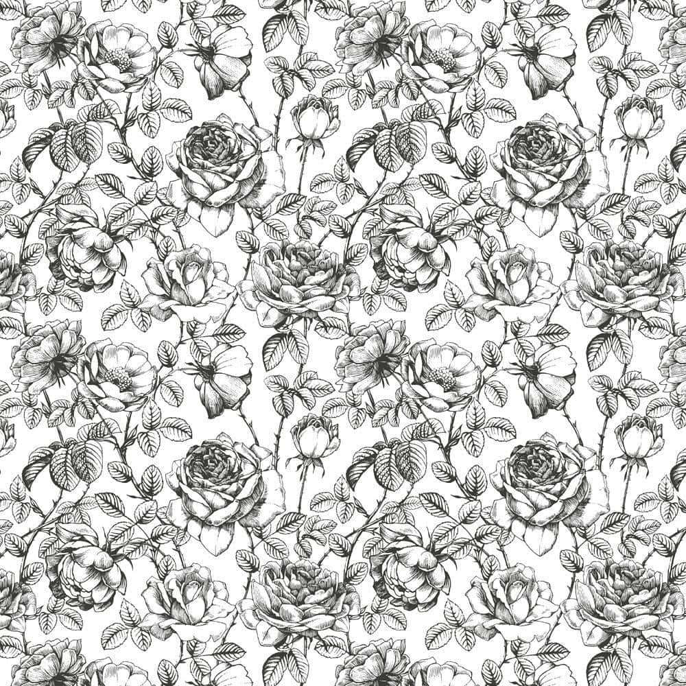 Monochrome Rose Pattern, black and white pattern, intricately detailed roses, SD Desktop Wallpaper