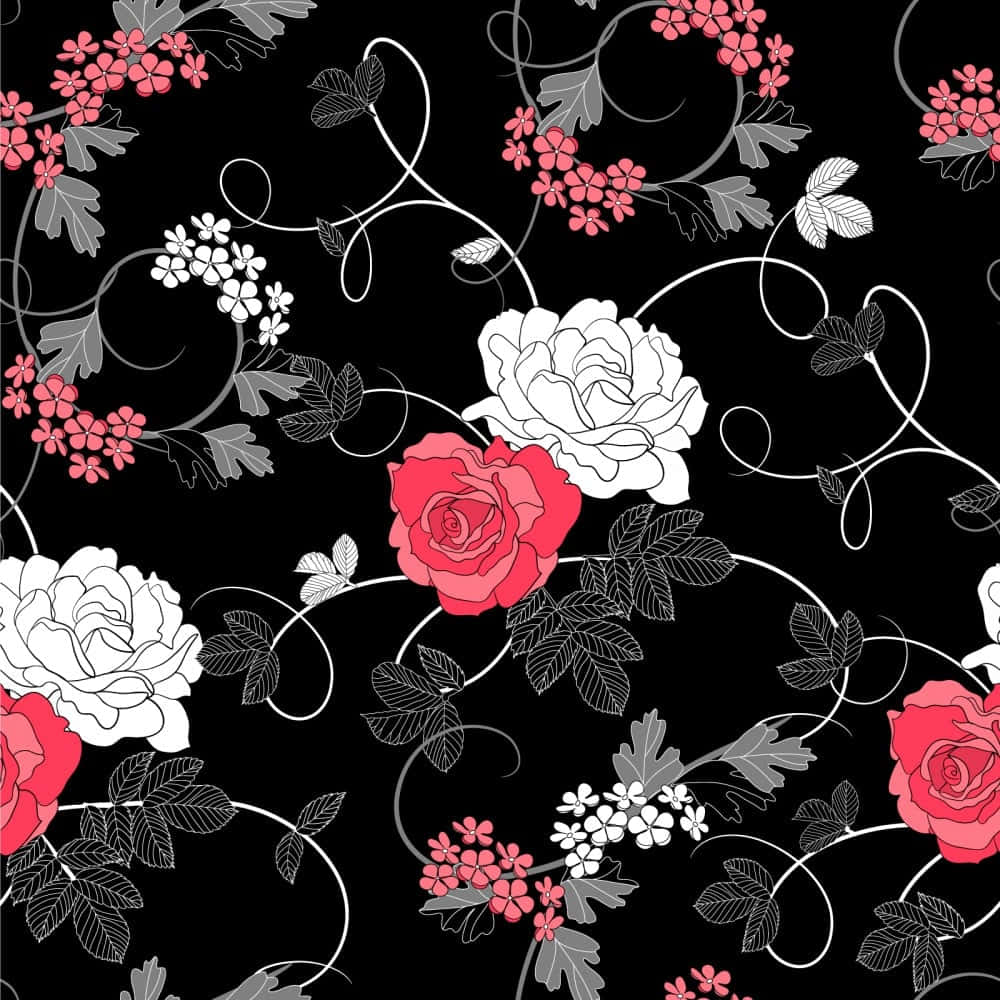 red and white roses, gray vines, black background, SD Desktop Wallpaper