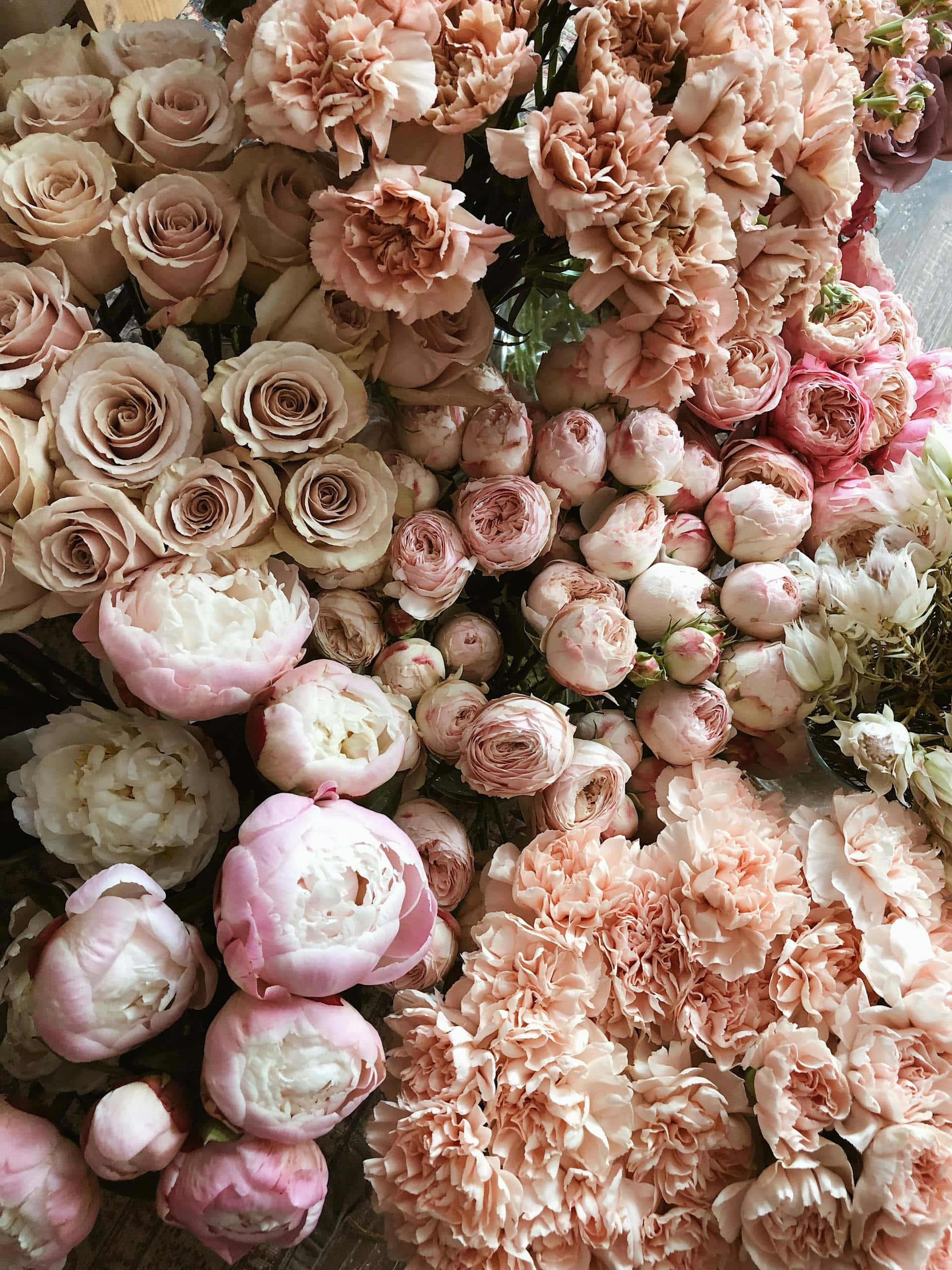 rose gold, pastel floral arrangement, soft pink, 2K Phone Wallpaper