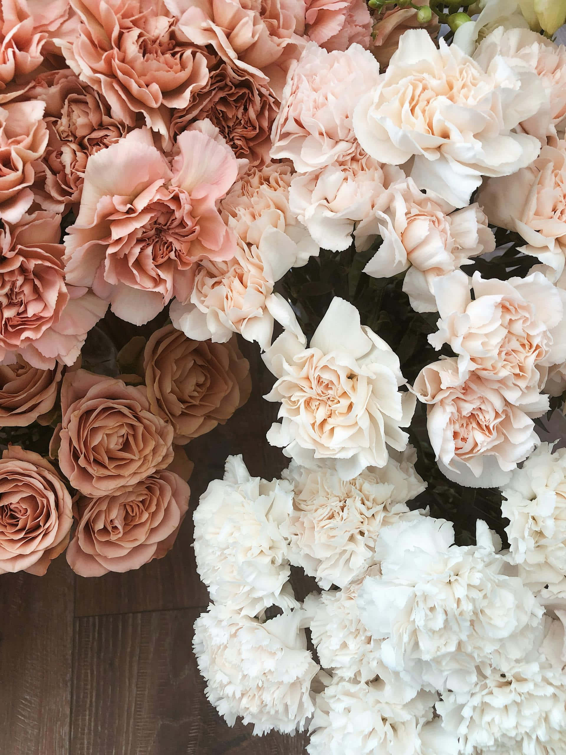 rose gold, pastel floral arrangement, peach, 2K Phone Wallpaper