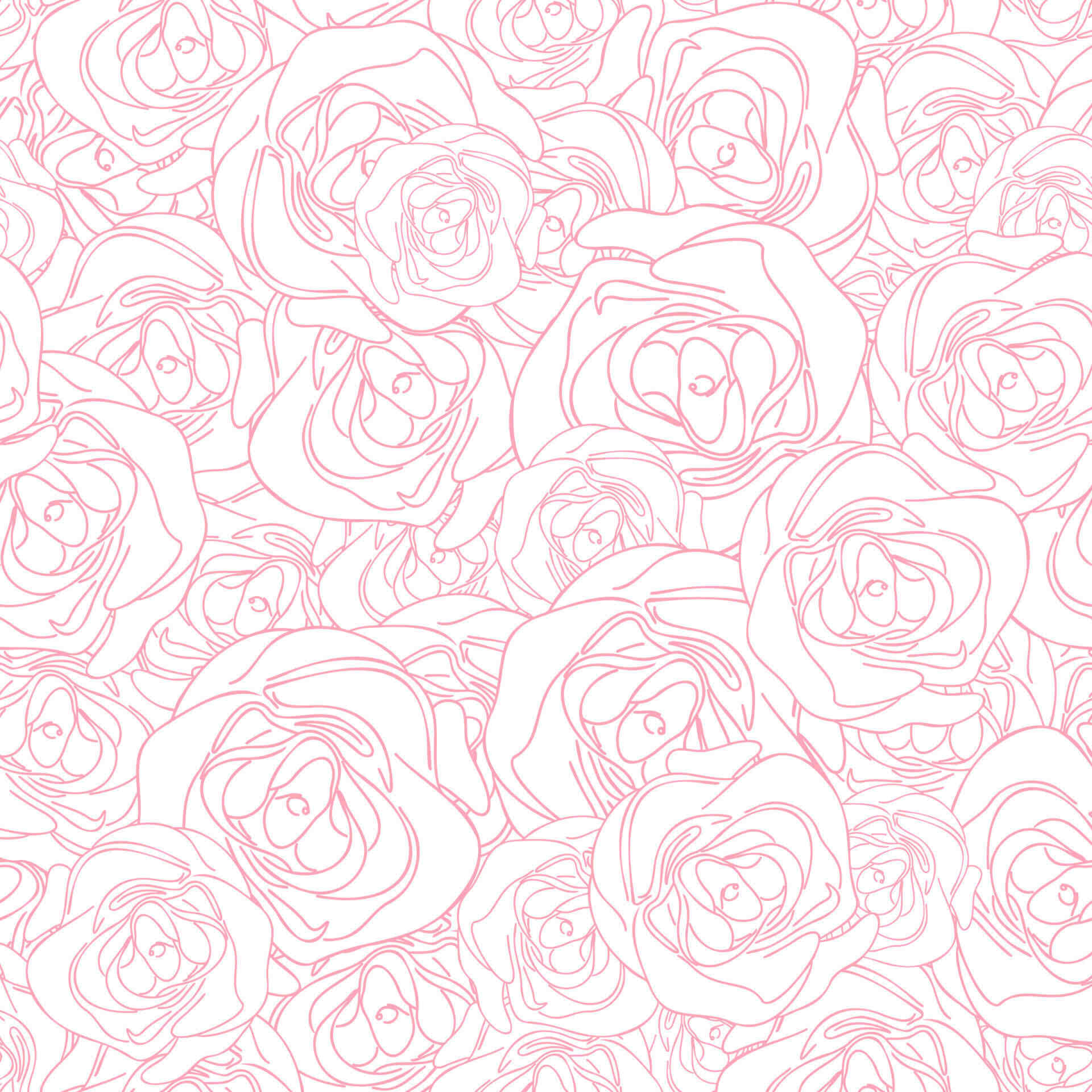 pink rose pattern, delicate pink outlined roses, white background, Full HD Desktop Wallpaper
