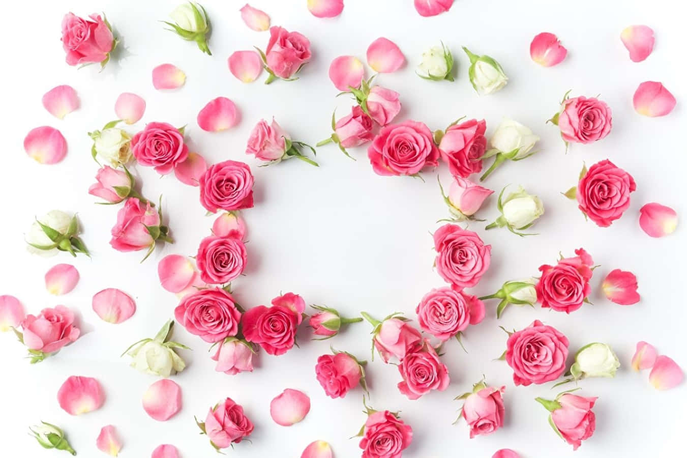 rose petal, heart shape, pink and white roses, HD Desktop Wallpaper