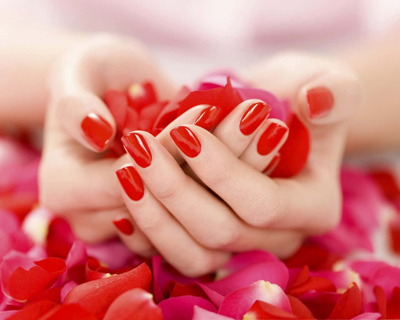 Rose Petal, red rose petals, glossy red nails, HD Desktop Wallpaper