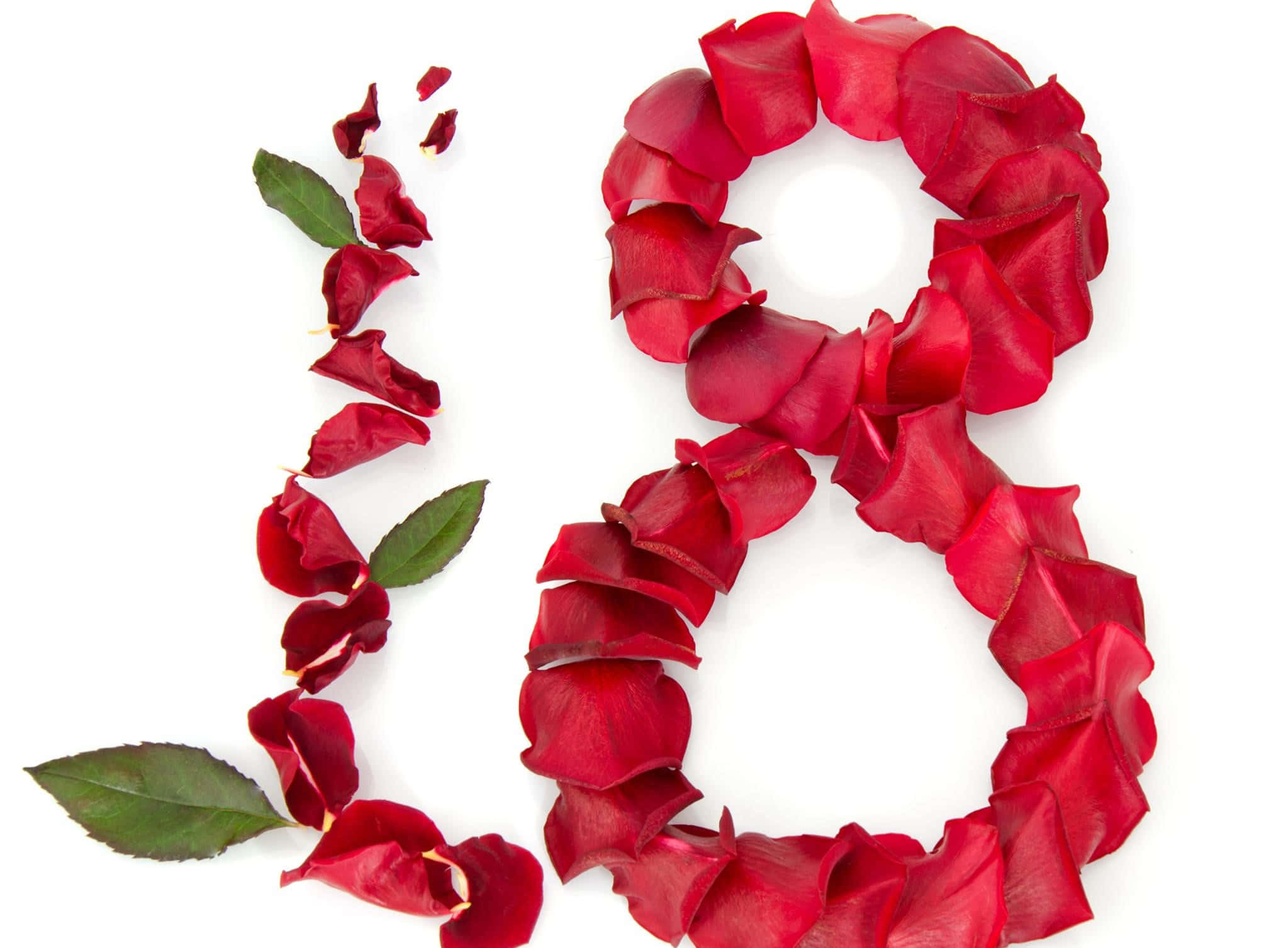Rose Petal 2047, vibrant red rose petals, green leaves, Full HD Desktop Wallpaper