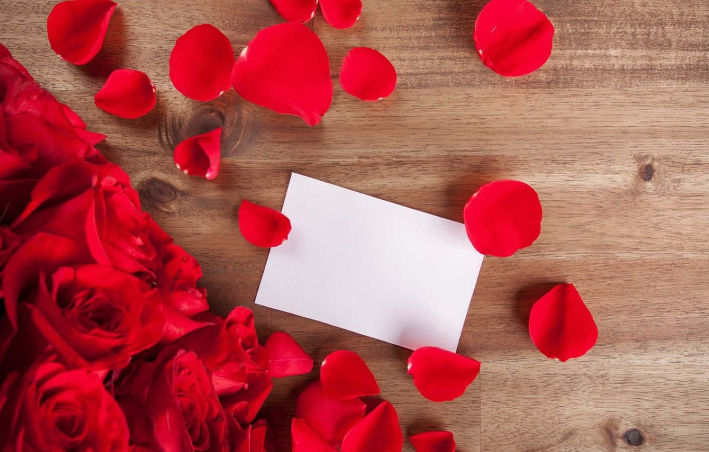 Rose Petal, 1410 x 900, vibrant red roses, HD Desktop Wallpaper