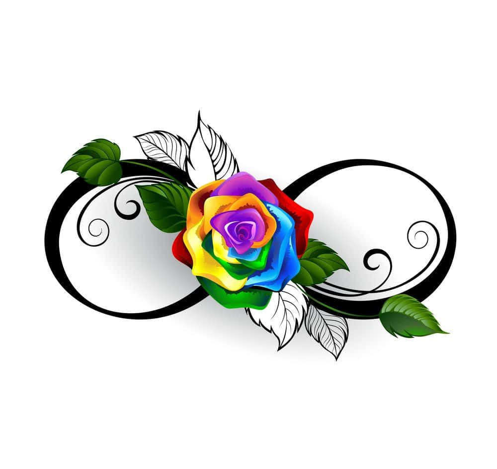 rose symbol, black infinity symbol, vibrant rainbow rose, SD Desktop Wallpaper