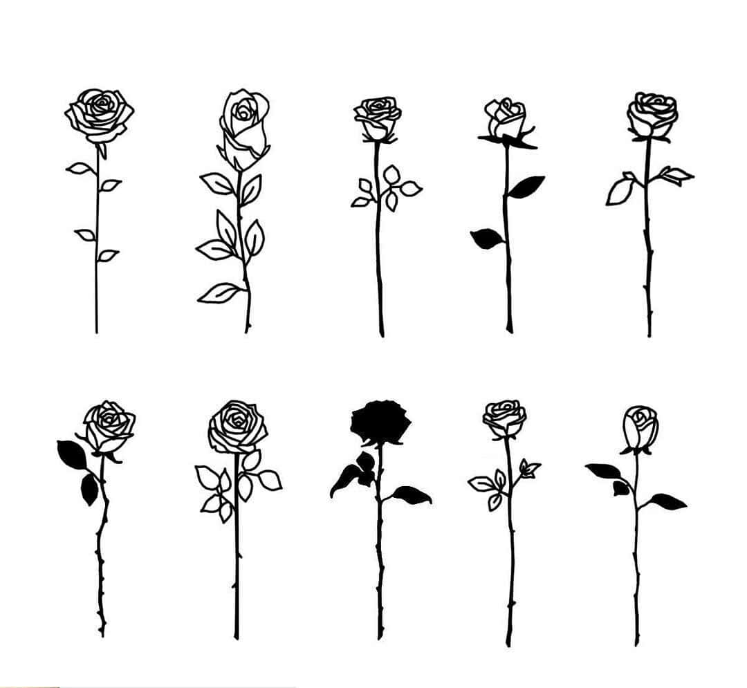 rose symbol, black line drawings, white background, SD Desktop Wallpaper