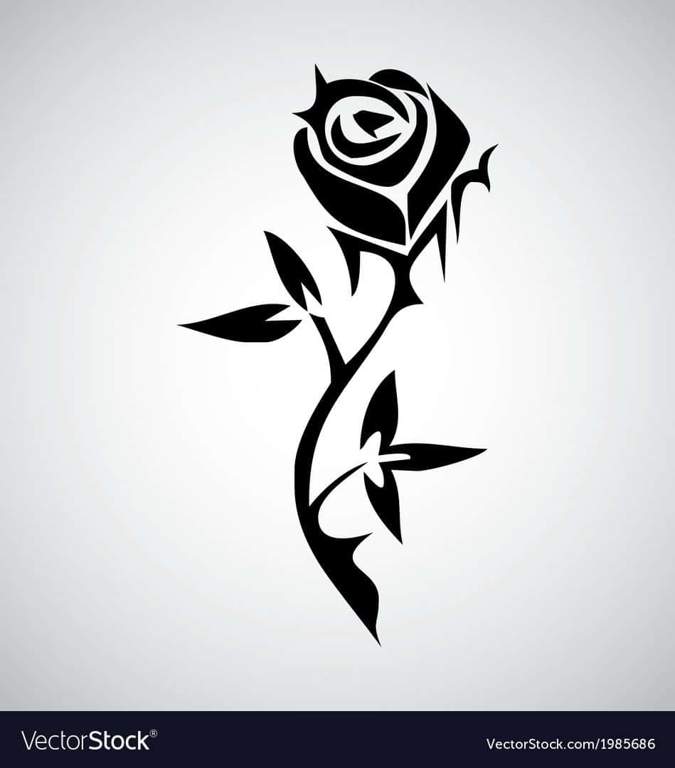 pink rose, full bloom, black silhouette, SD Phone Wallpaper