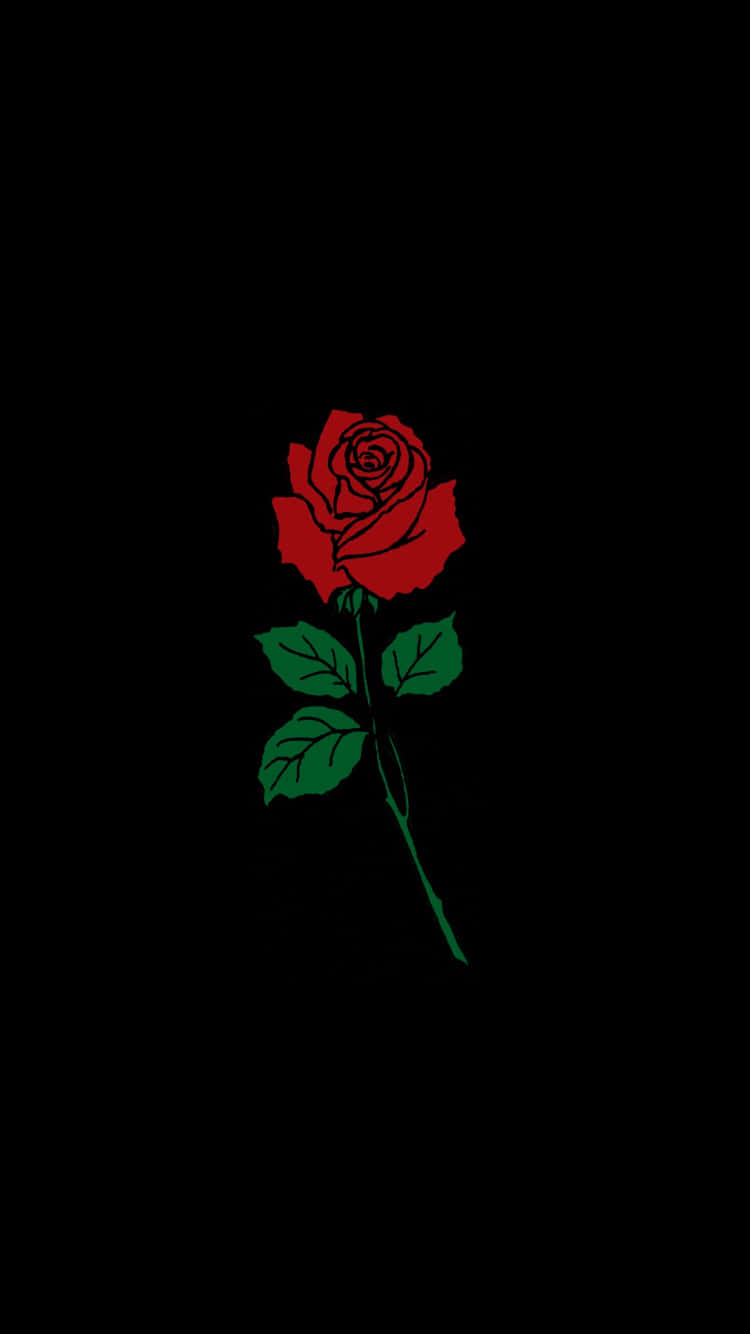 red rose, green leaves, stem, HD Phone Wallpaper