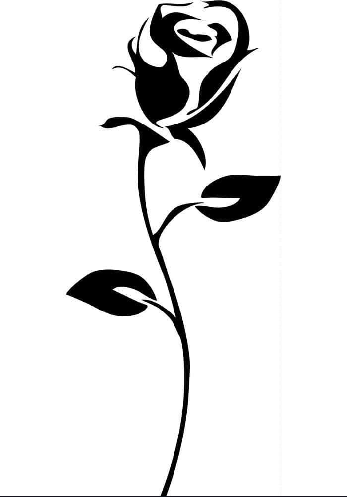 rose symbol, black silhouette, single rose, SD Phone Wallpaper