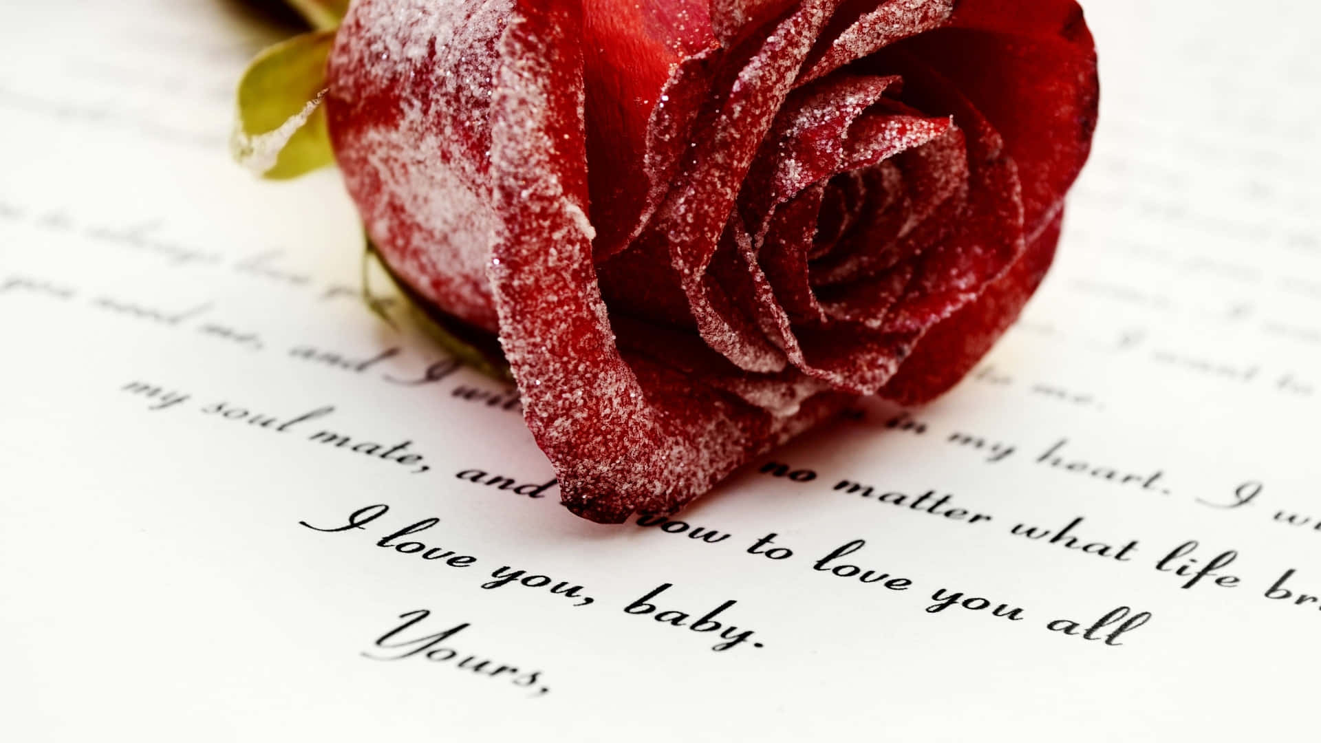 red rose, handwritten love letter, frost-dusted, Full HD Desktop Wallpaper