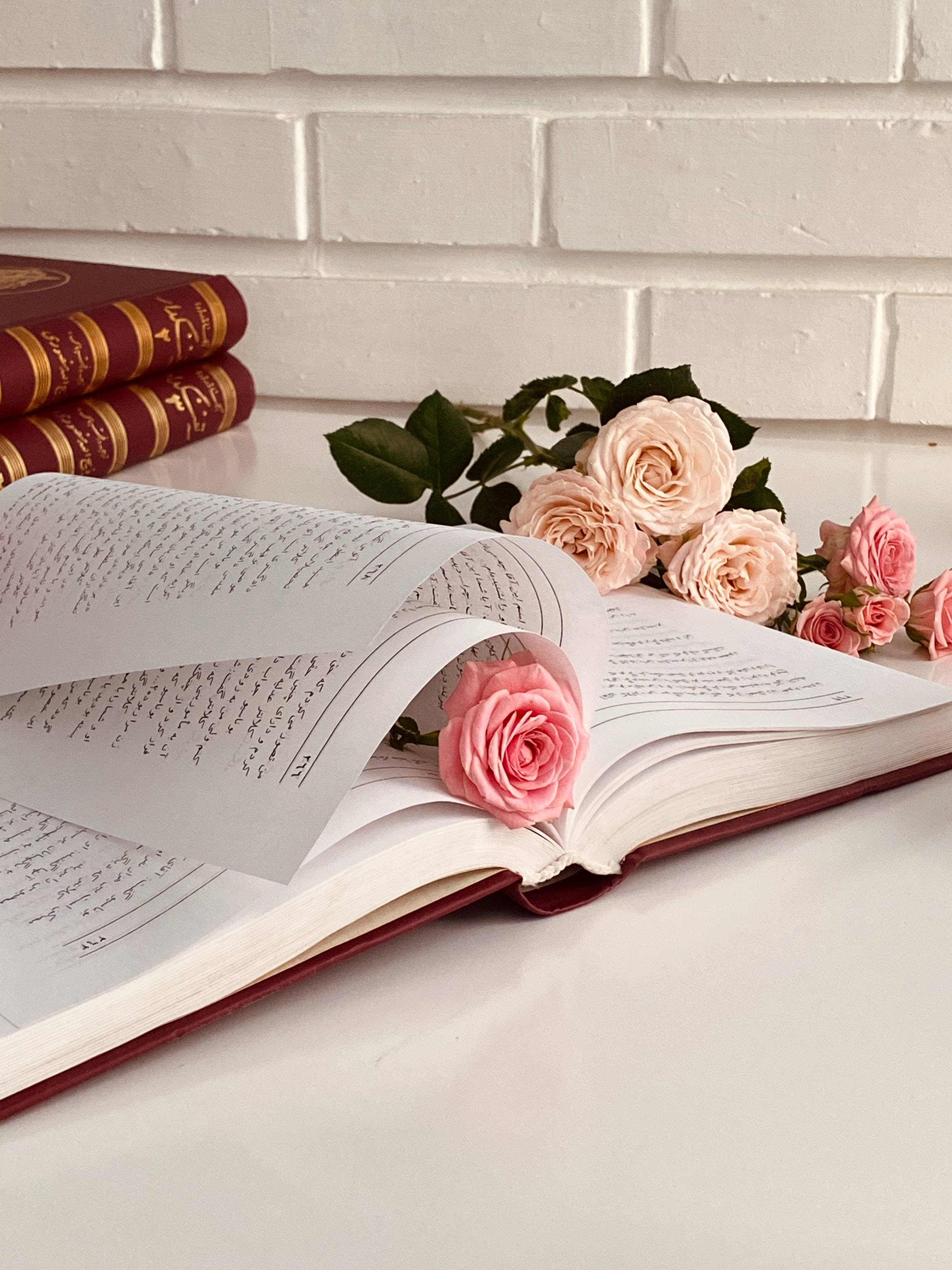 pink rose, open book, bouquet, 4K Phone Wallpaper