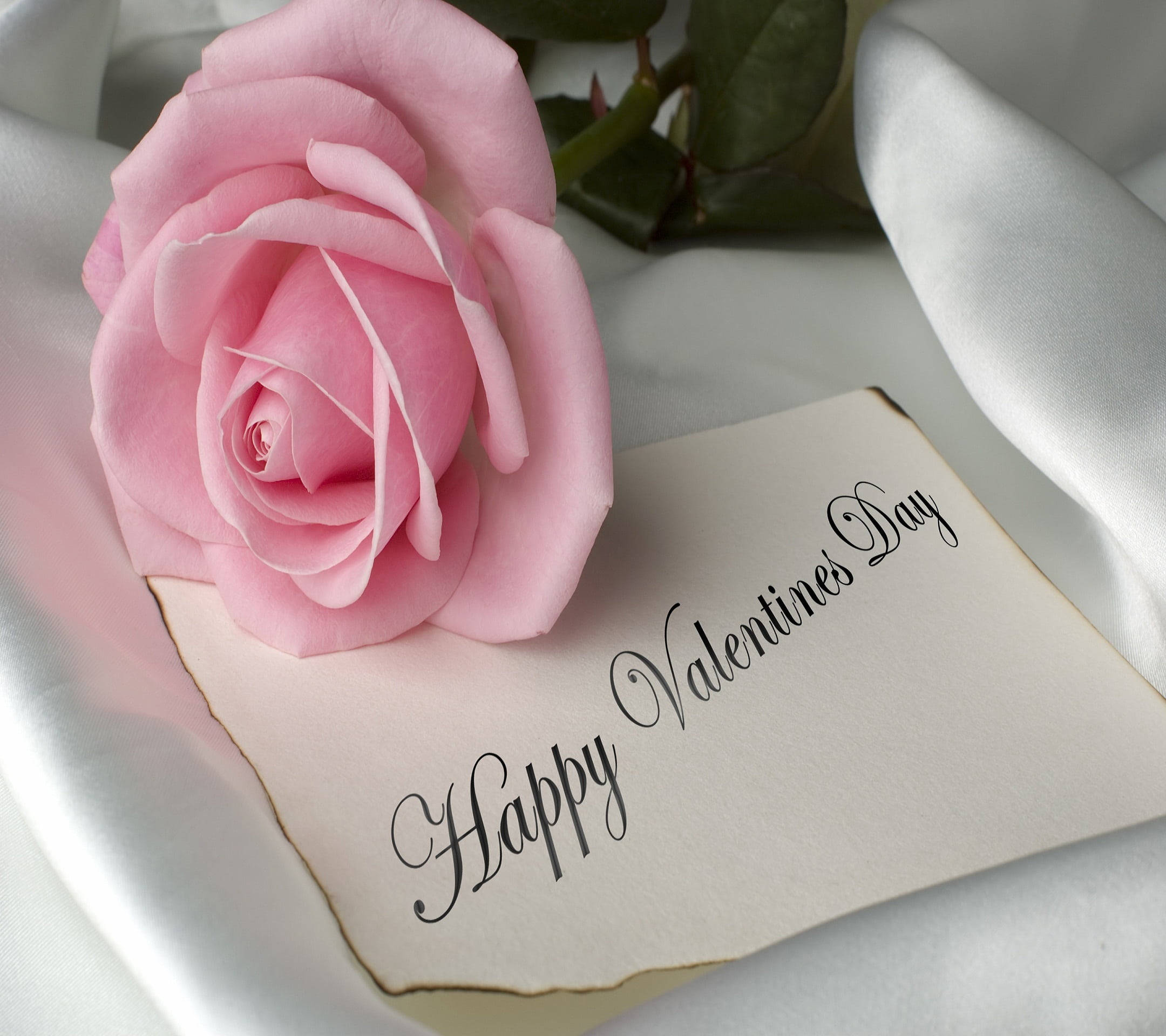 Pink Rose, Valentine's Day, handwritten note, Full HD Desktop Wallpaper