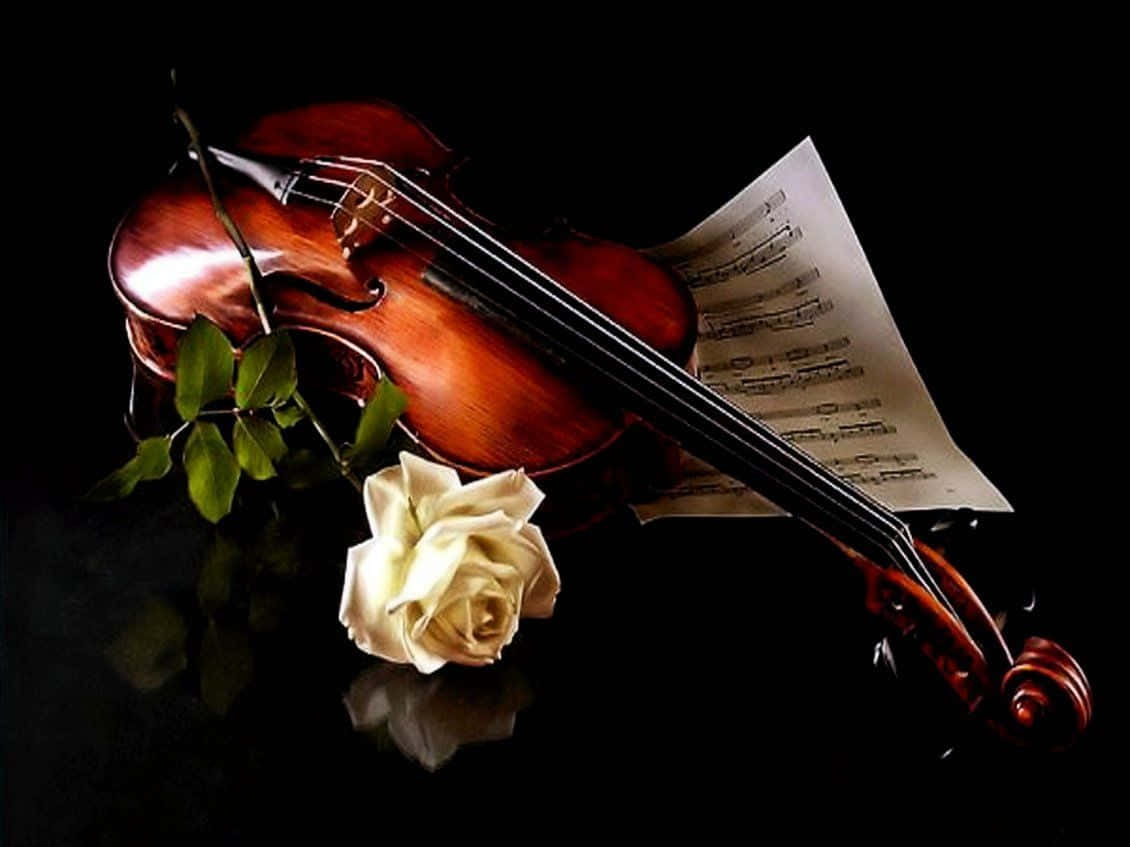 violin, white rose, sheet music, SD Desktop Wallpaper