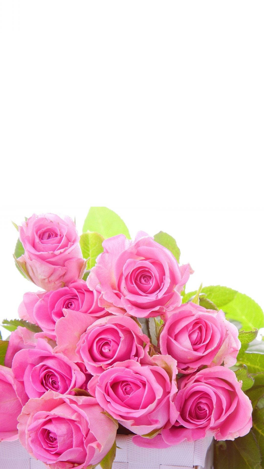 pink rose, iPhone bouquet, white basket, Full HD Phone Wallpaper